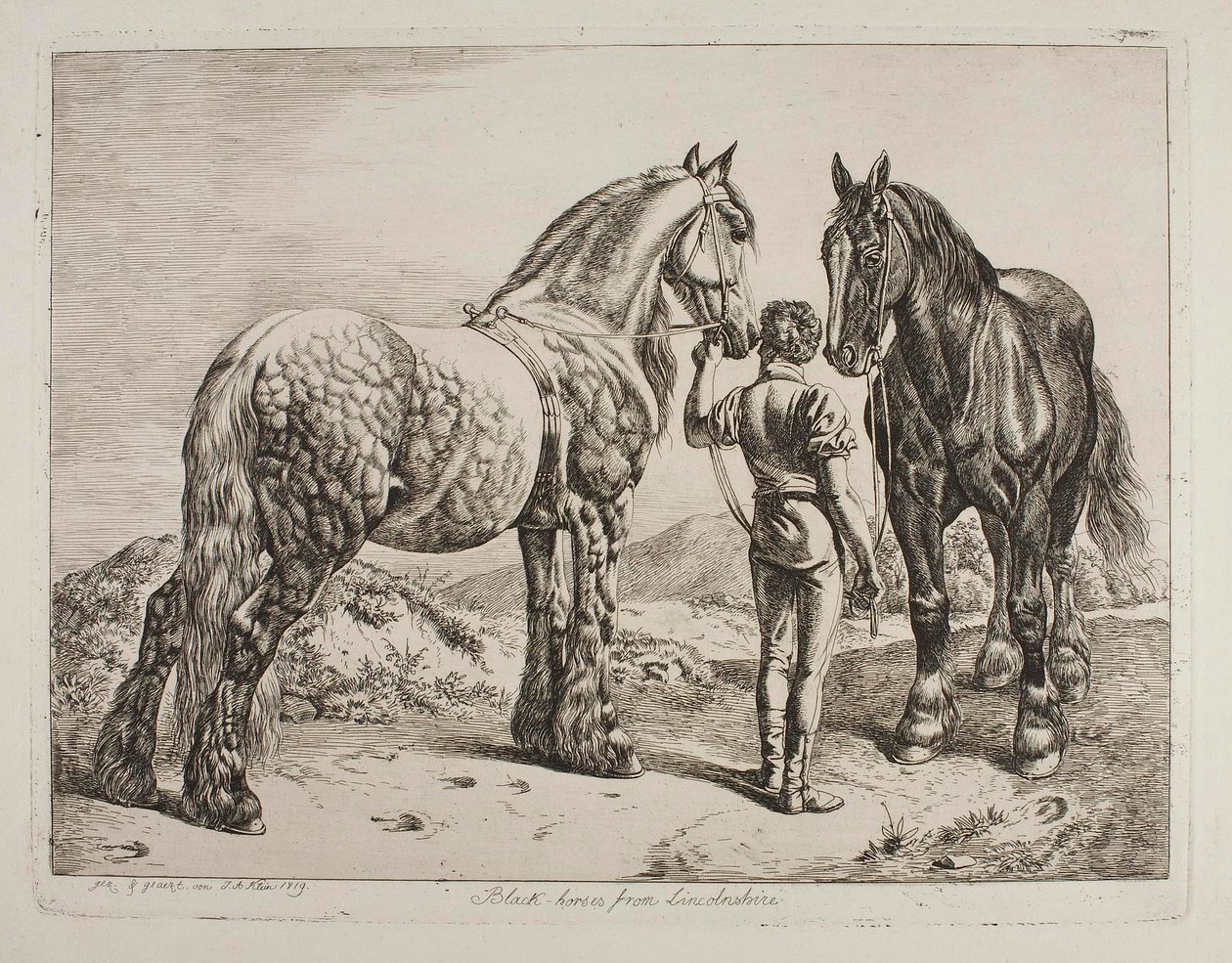 Zwarte paarden uit Lincolnshire door Johann Adam Klein