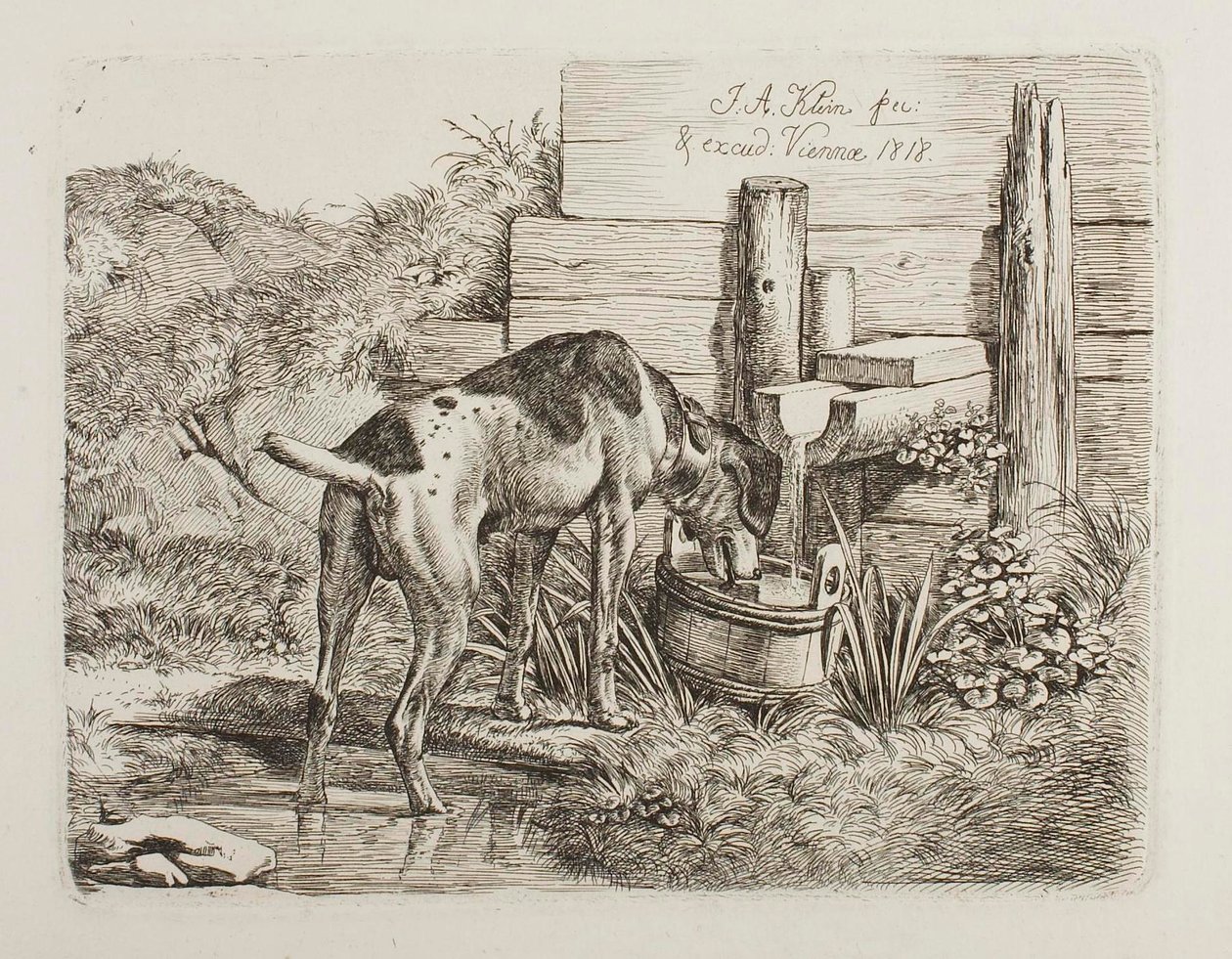 Drinkwater voor honden door Johann Adam Klein