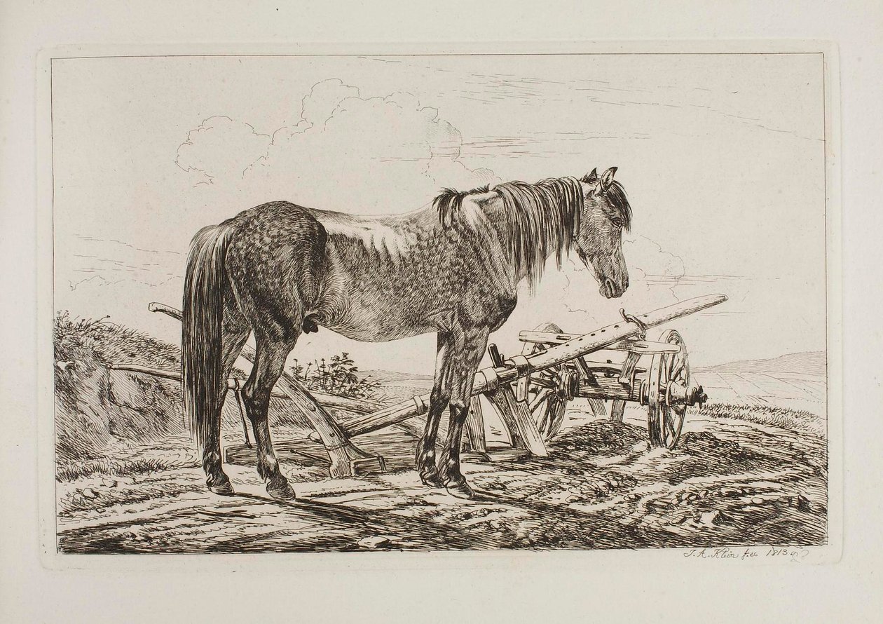 Paard bij een ploeg door Johann Adam Klein