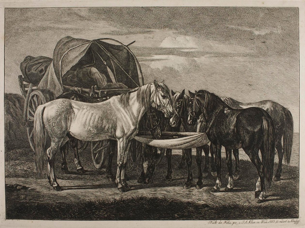 Paarden bij een Hongaarse kar door Johann Adam Klein