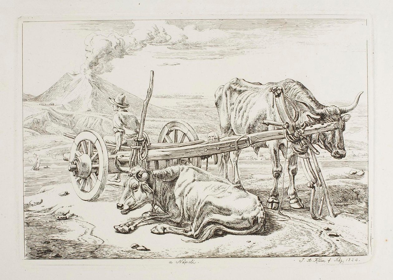 In Napels (ossen en een kar in Napels) door Johann Adam Klein