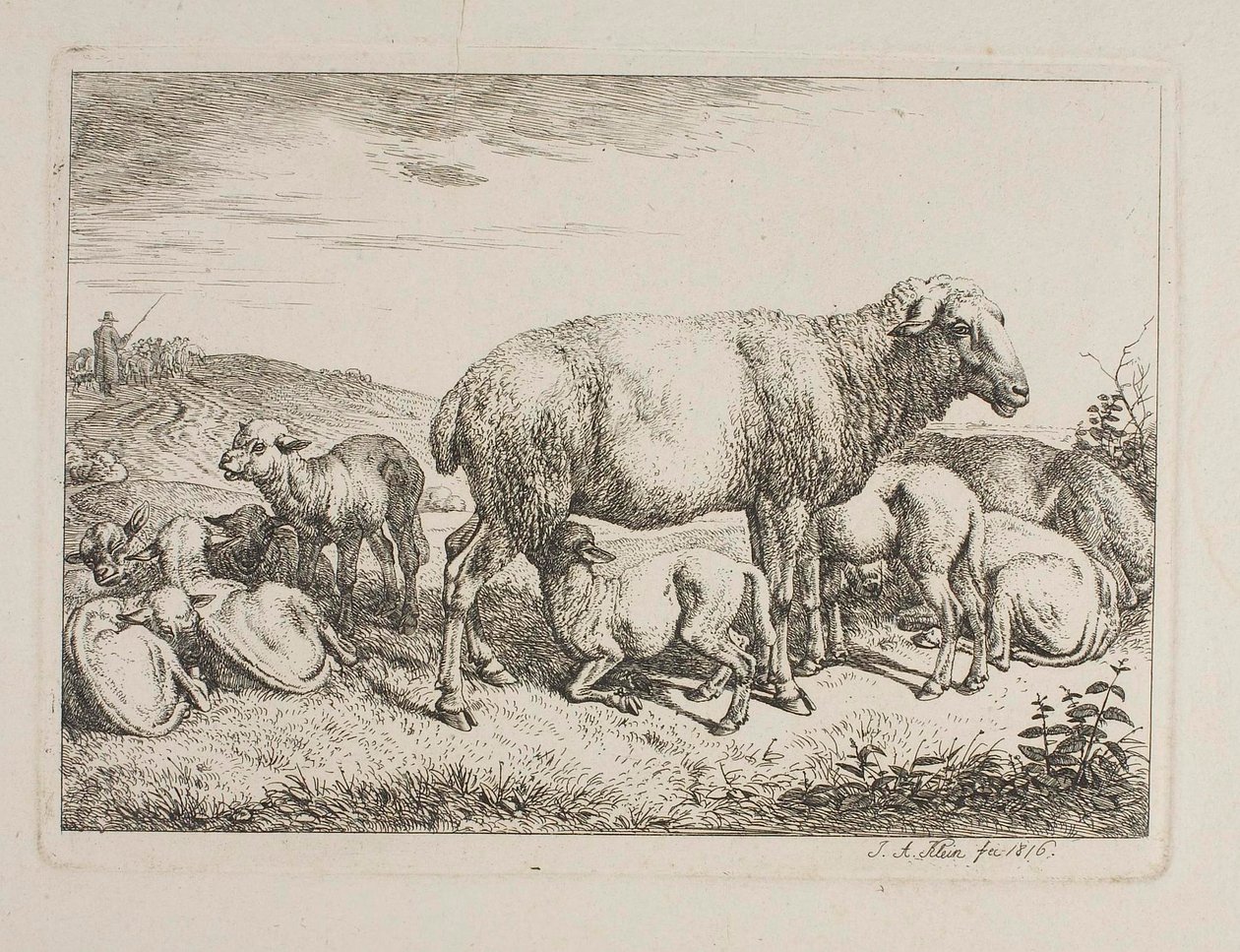 Schapen met lammeren door Johann Adam Klein