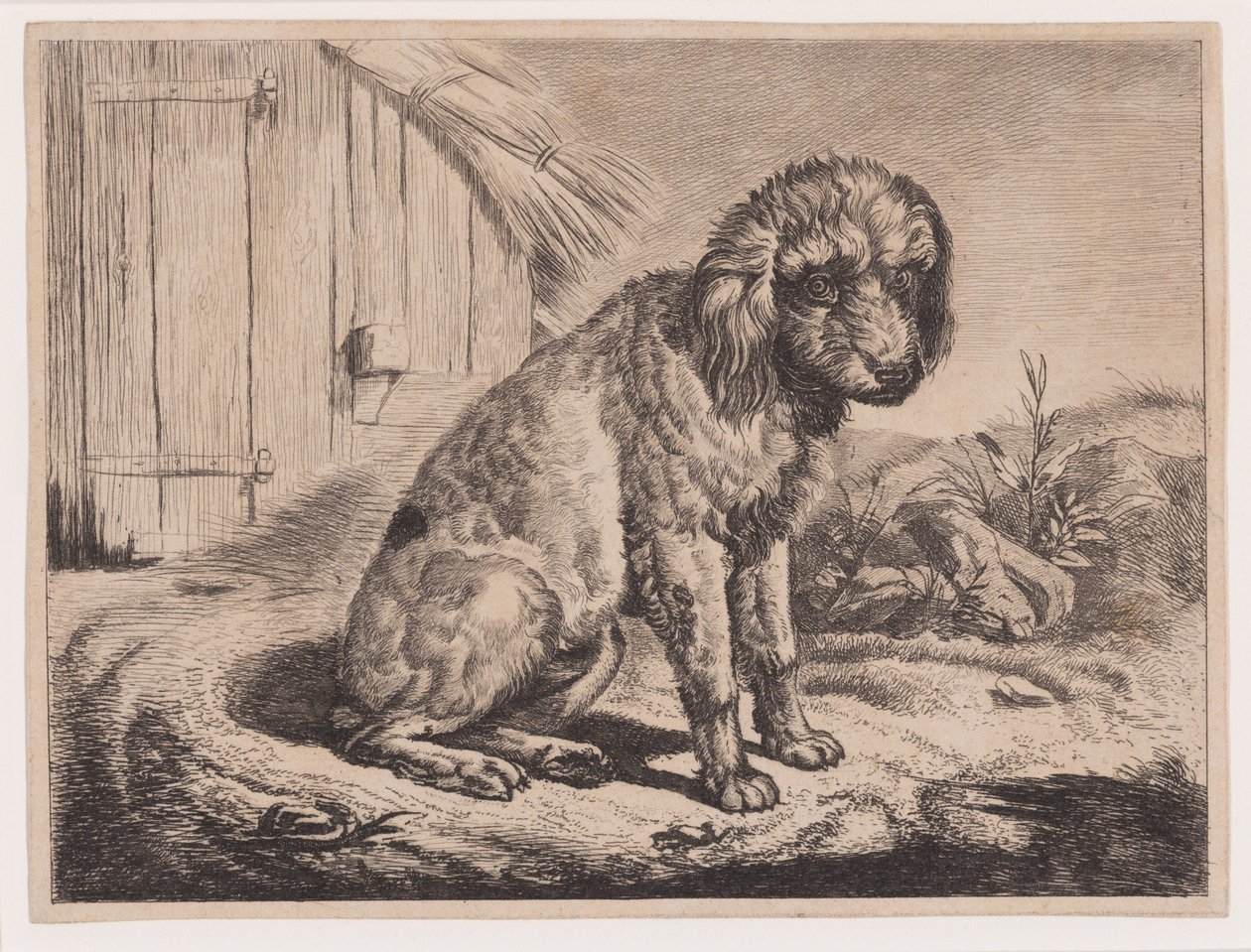 Zittende hond door Johann Adam Klein