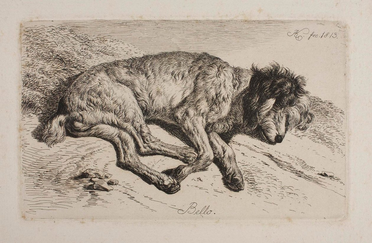 Slapende hond, Bello door Johann Adam Klein