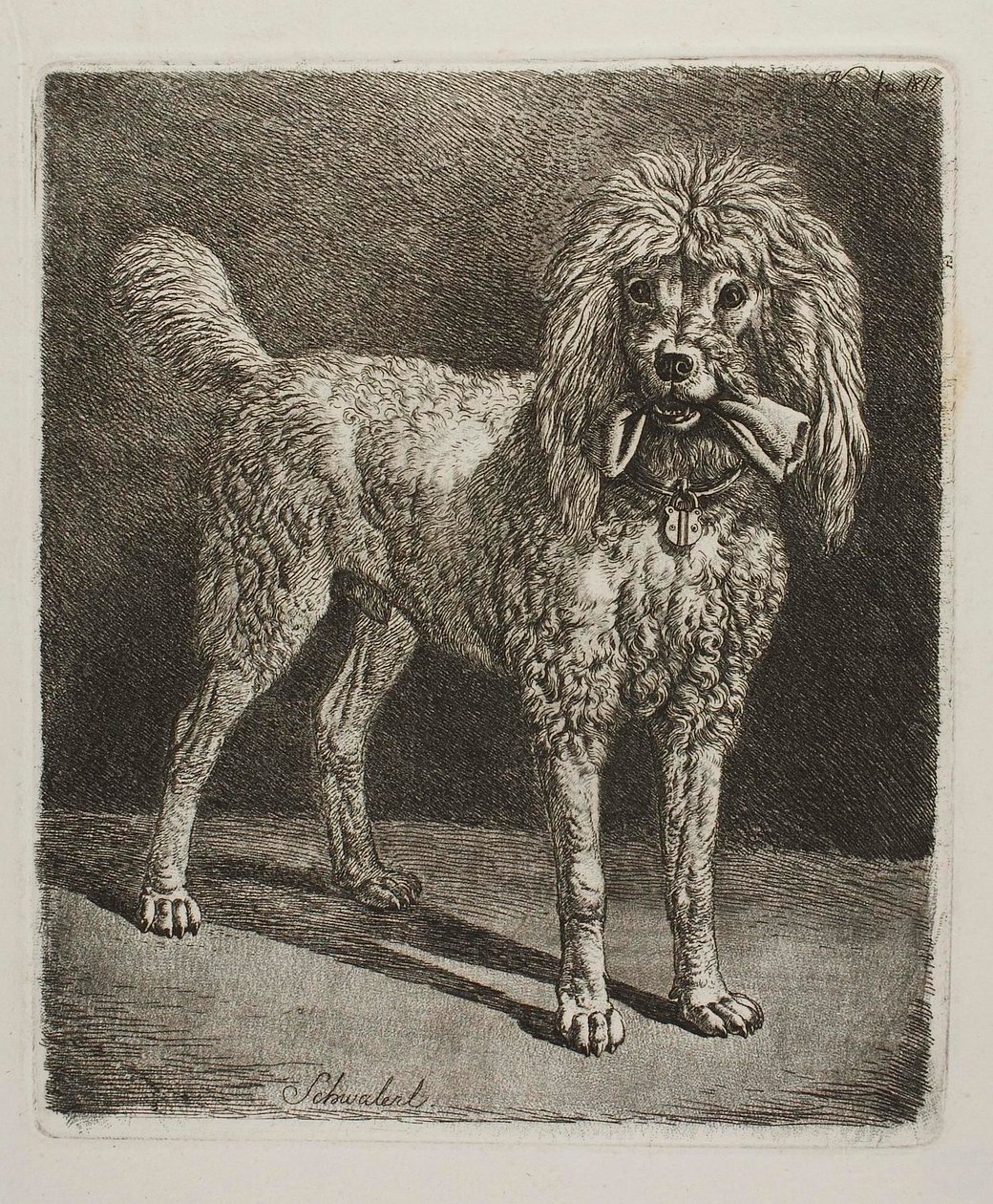 De poedel Schwalerl door Johann Adam Klein