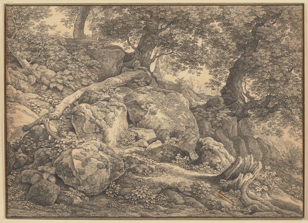 Helling met rotsblokken en olijfbomen in het park van de prinsen Chigi te Ariccia door Johann Christian Reinhart
