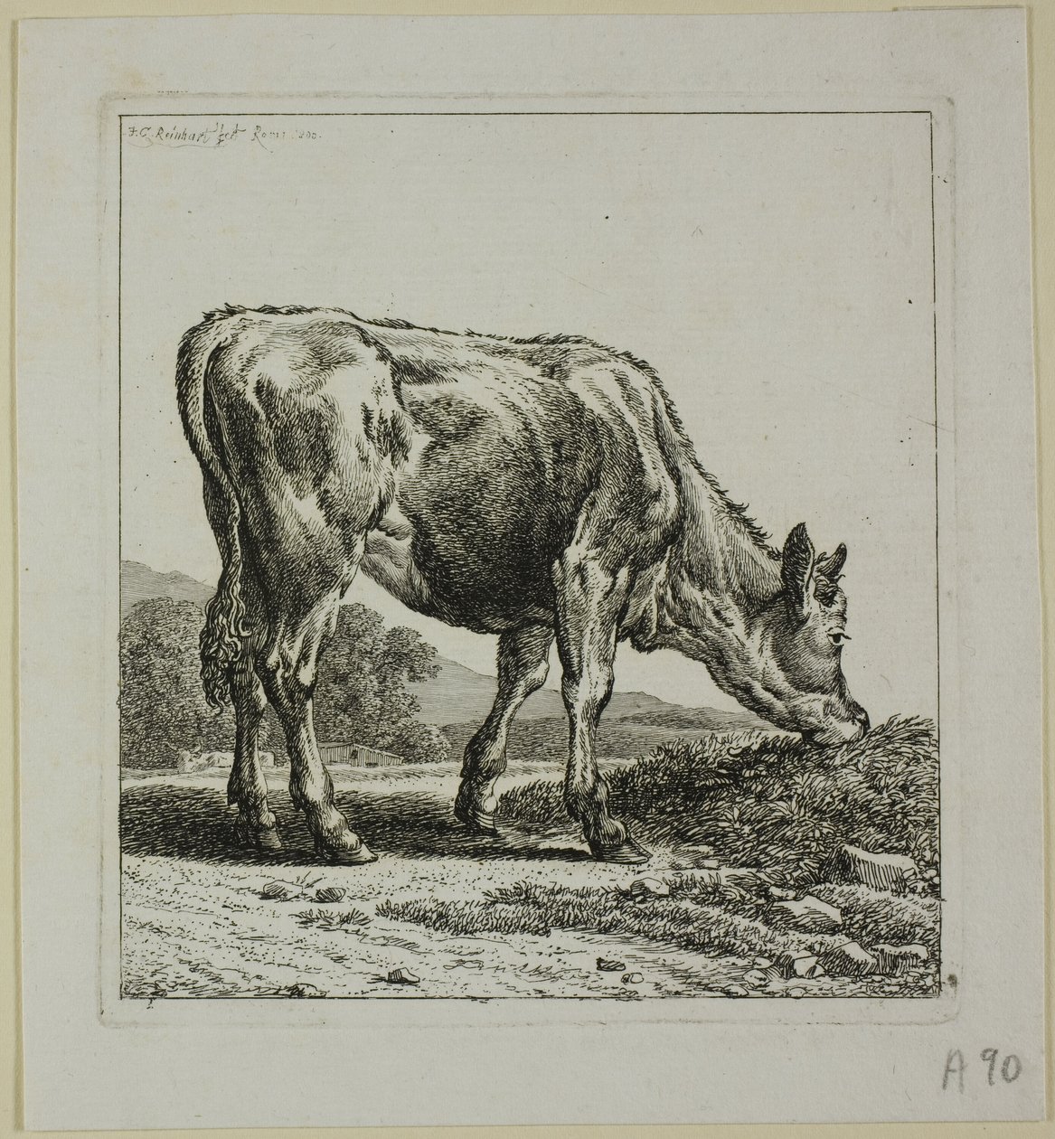 Kalf dat gevoed wordt, uit Die Zweite Thierfolge door Johann Christian Reinhart
