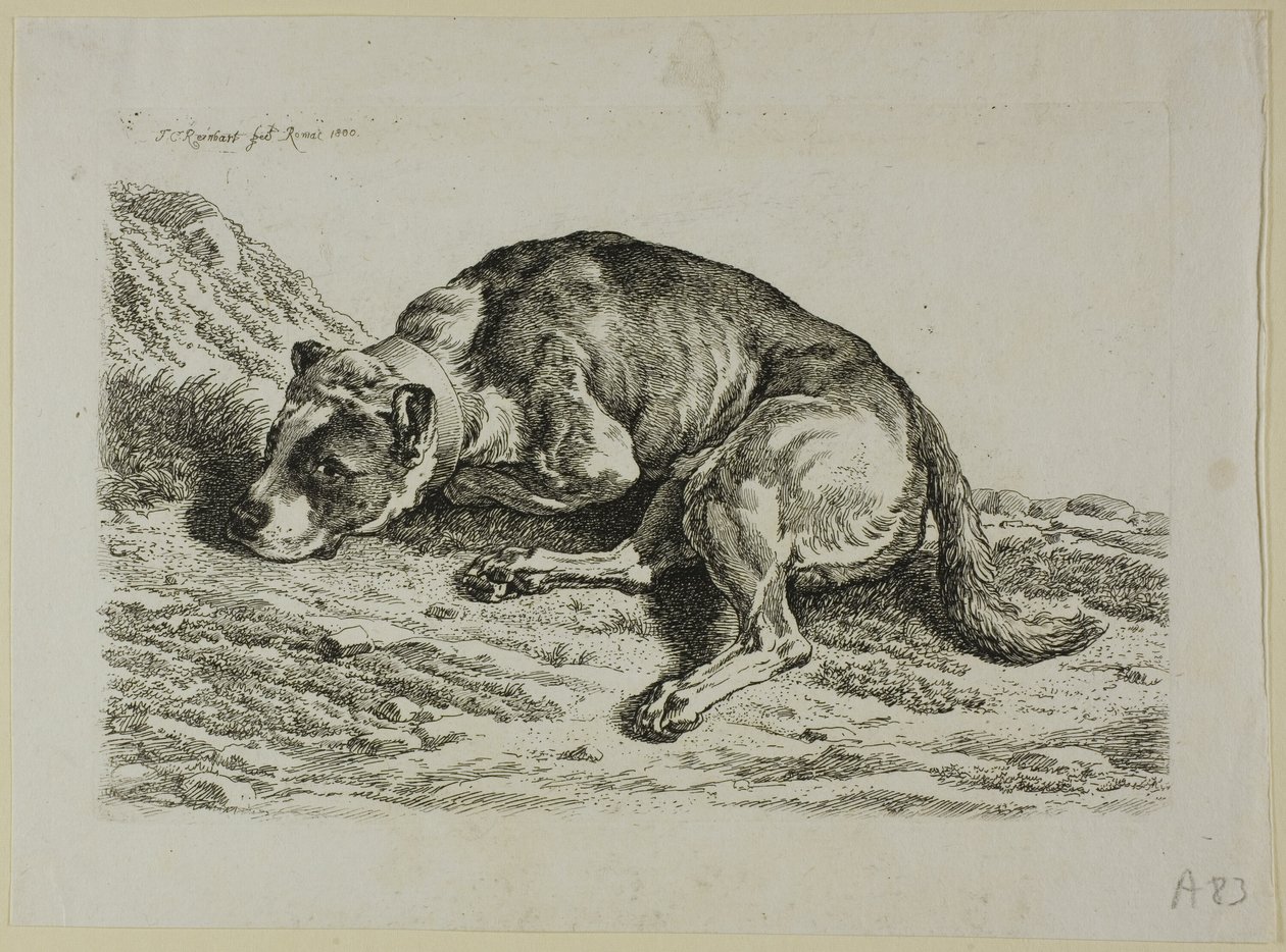 Liggende Hond, uit Die Zweite Thierfolge door Johann Christian Reinhart