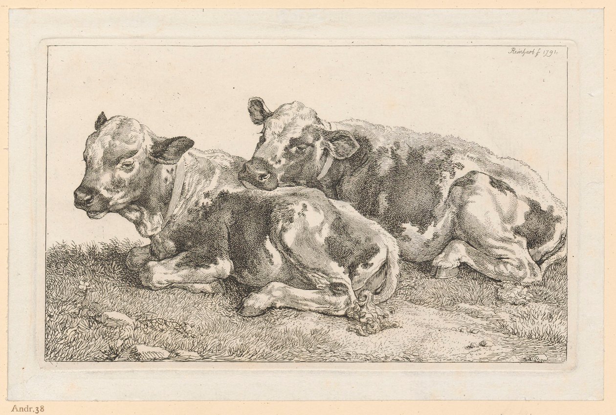 Twee kalfjes door Johann Christian Reinhart
