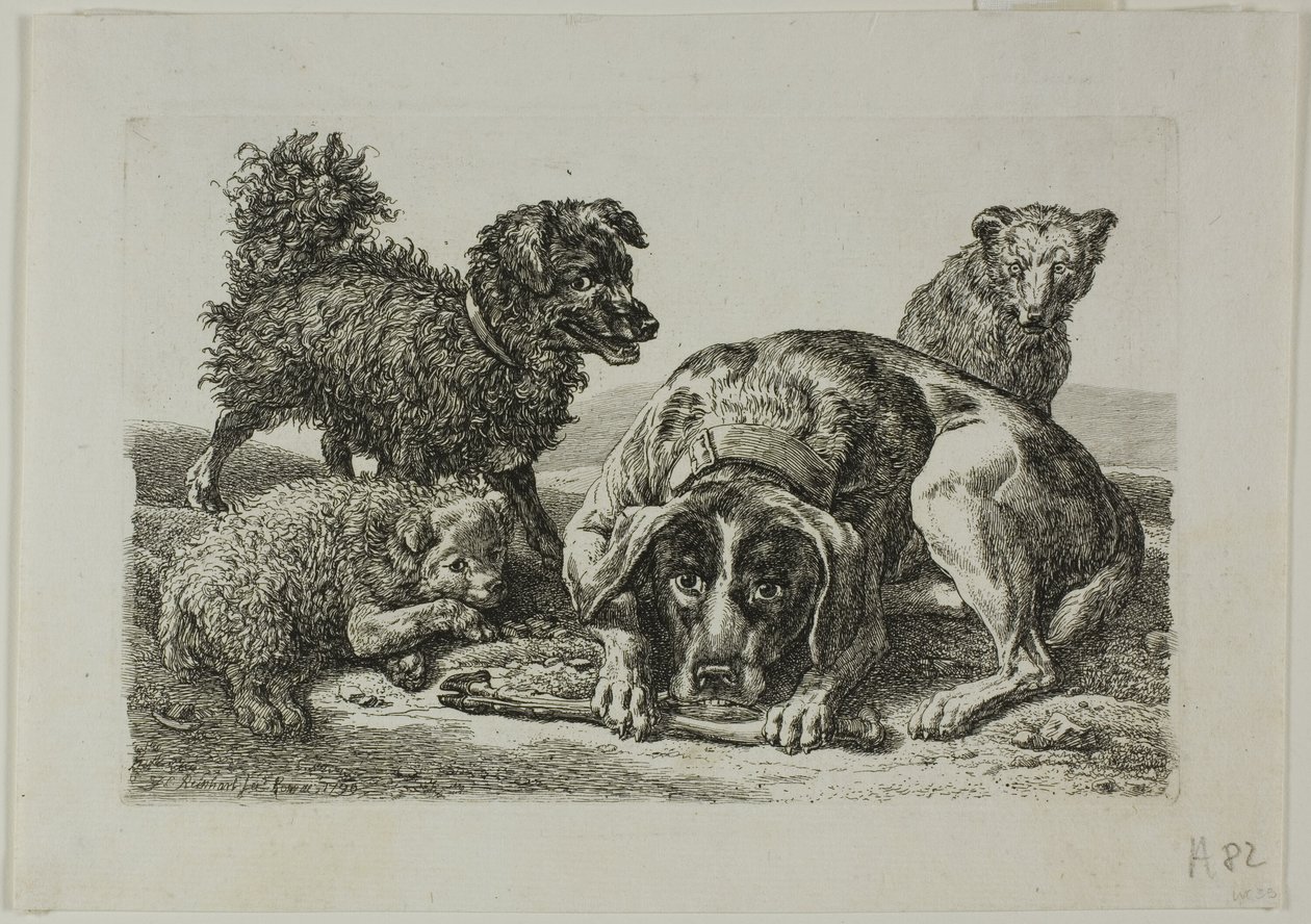 Vier honden, uit Die Zweite Thierfolge door Johann Christian Reinhart