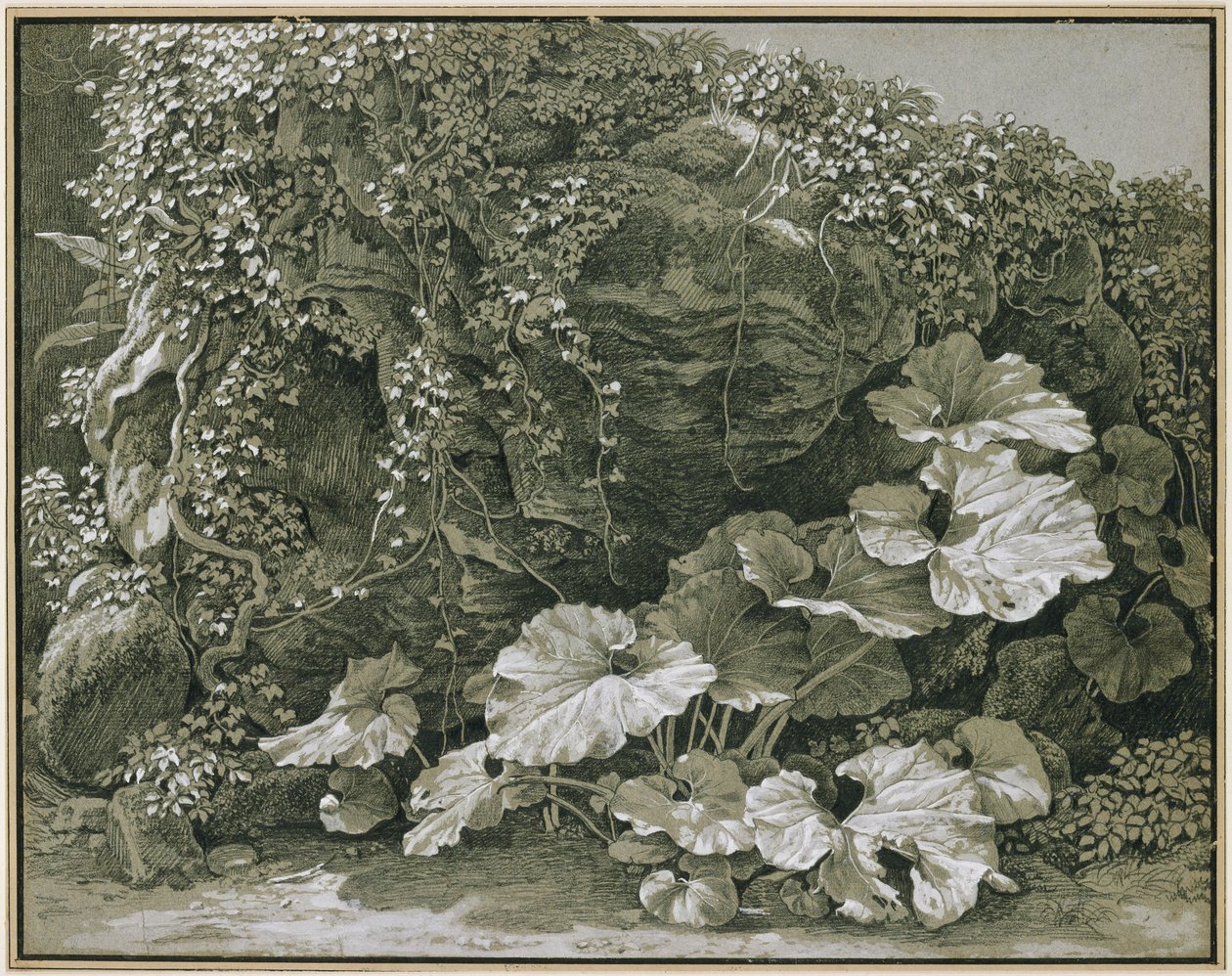 Grootbladige planten bij een met klimop begroeide rotsgrot door Johann Christian Reinhart