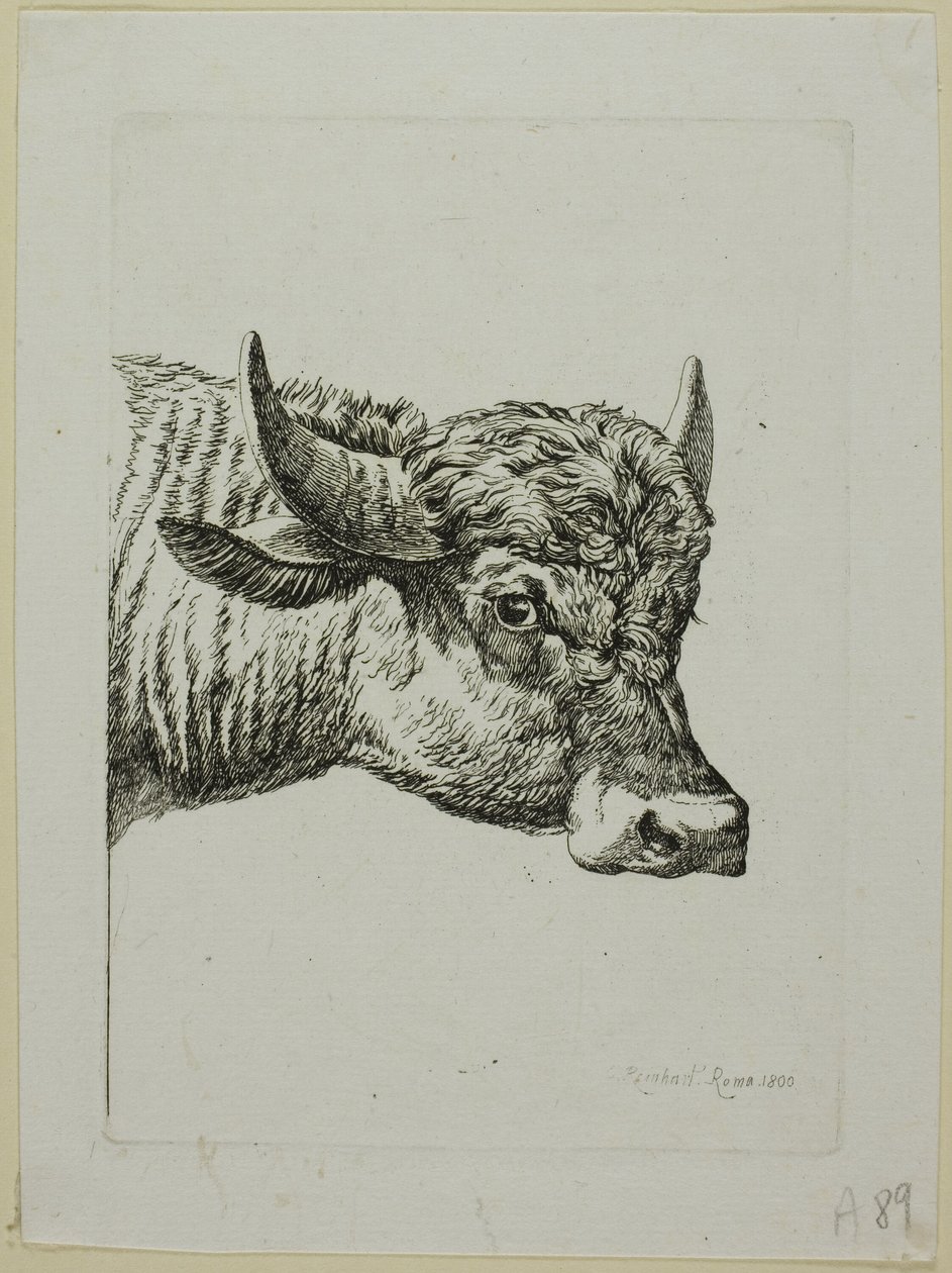 Hoofd van een Buffel, uit Die Zweite Thierfolge door Johann Christian Reinhart