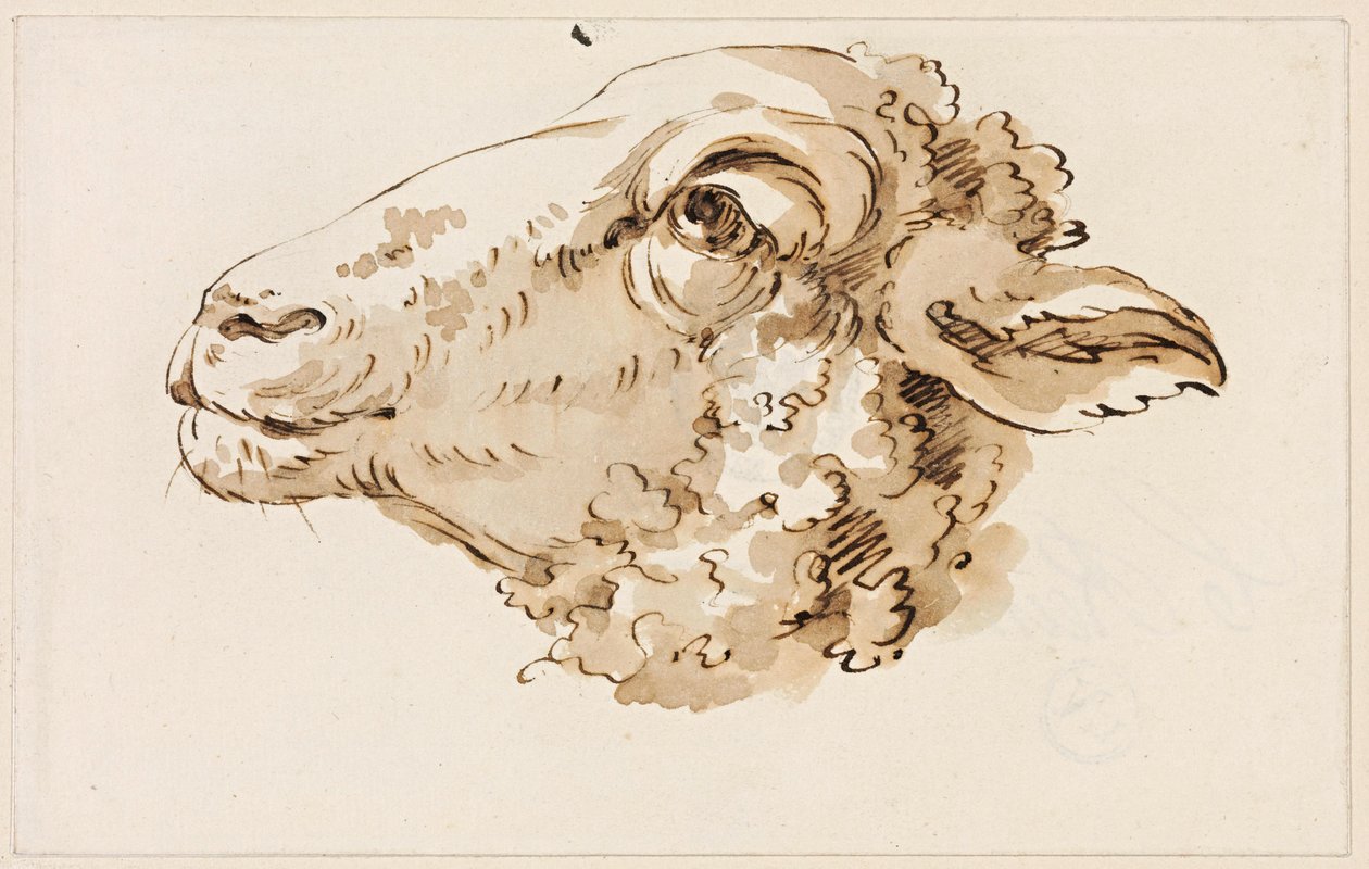 Kop van een schaap naar links door Johann Christian Reinhart