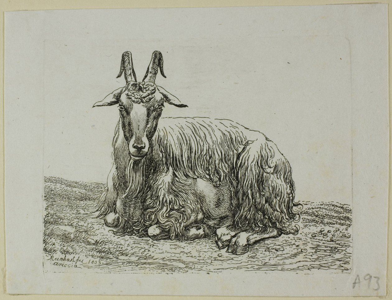 Liggende geit, uit Die Zweite Thierfolge door Johann Christian Reinhart