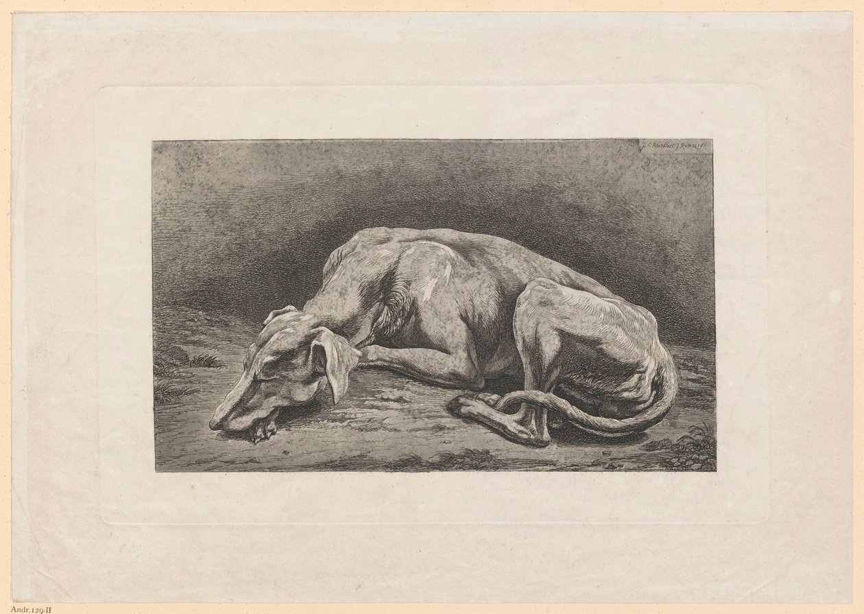 Slapende windhond door Johann Christian Reinhart