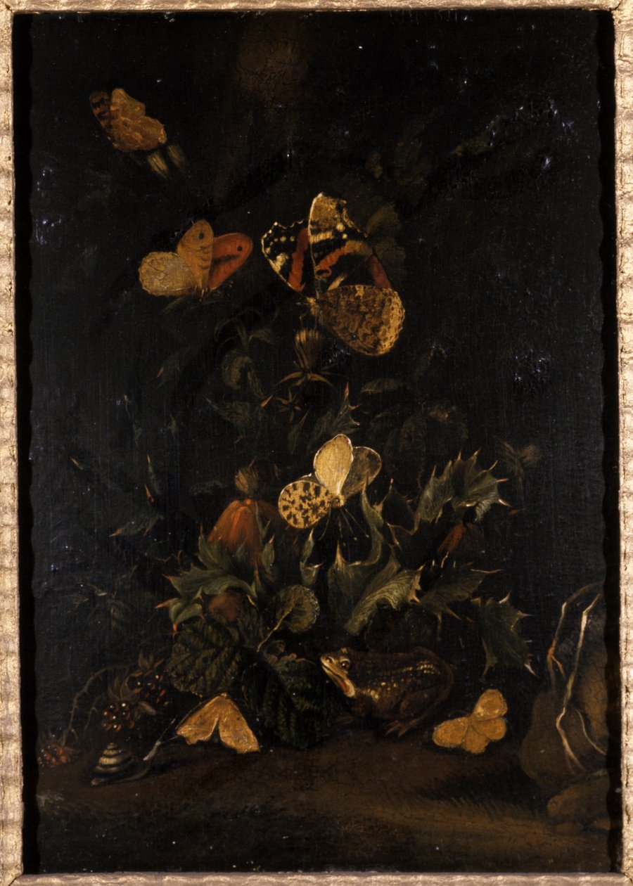 Bloemen met vlinders en pad door Johann Christian Thomas Winck