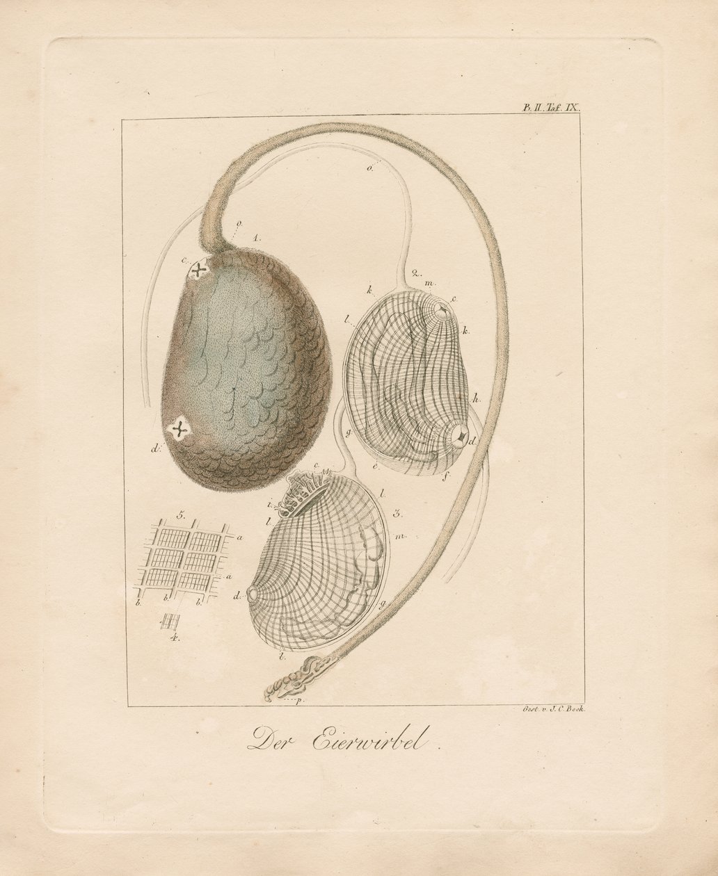  door Johann Christoph Bock