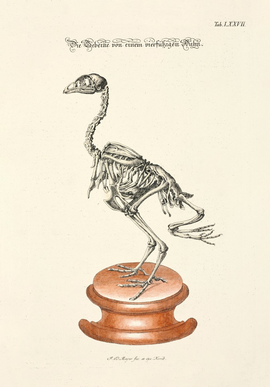  door Johann Daniel Meyer