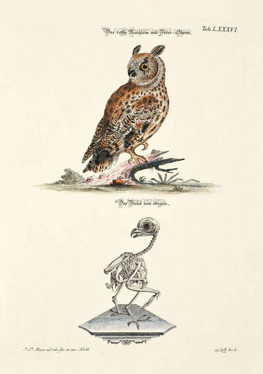  door Johann Daniel Meyer