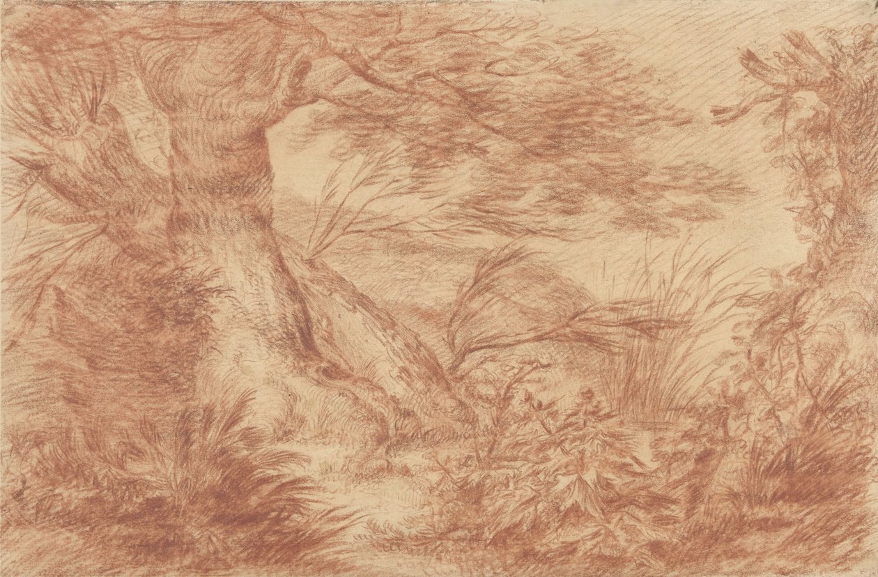 Planten en grassen bij oude wilgenstammen door Johann Elias Ridinger