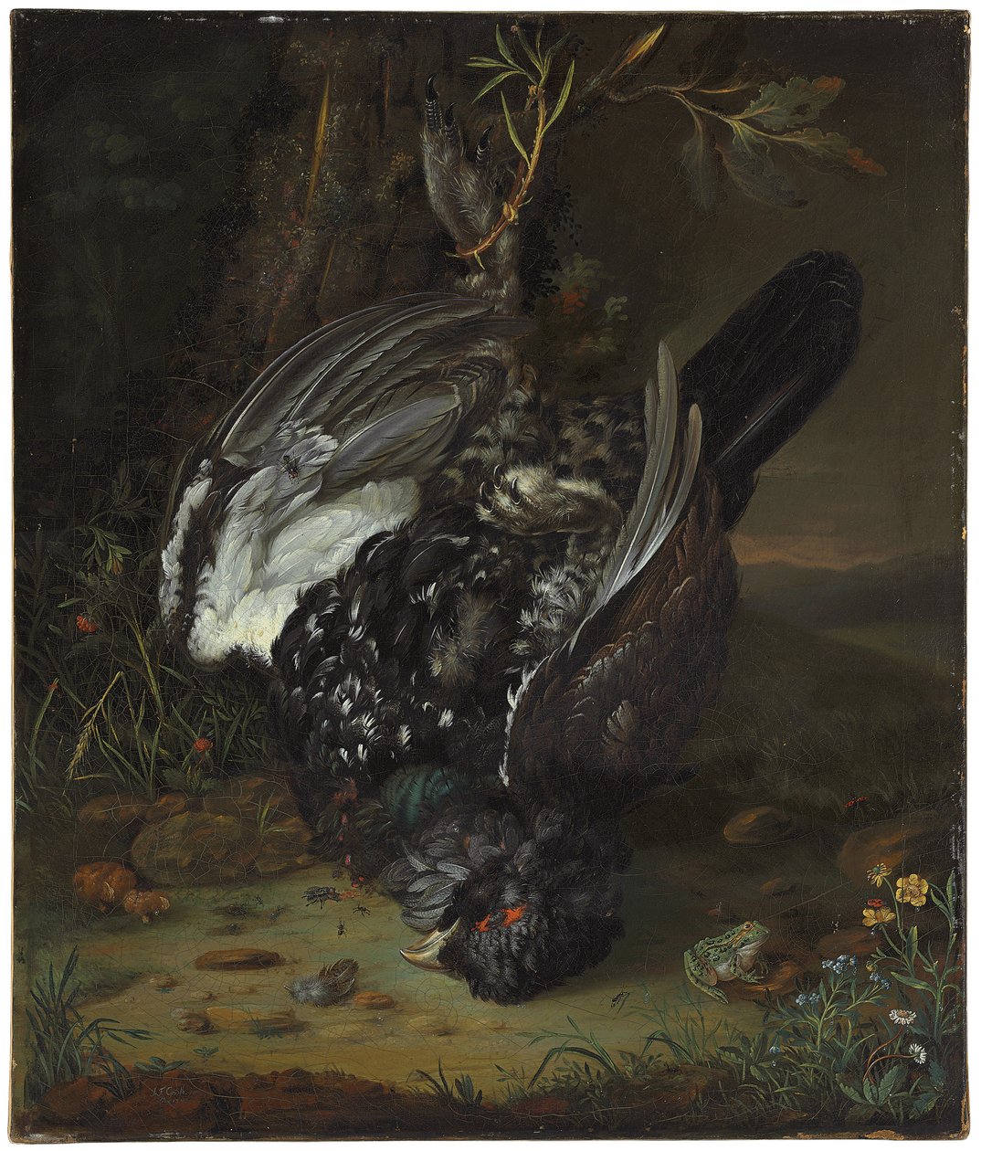 Een korhoen in een boslandschap, 1747 door Johann Friedrich von Grooth