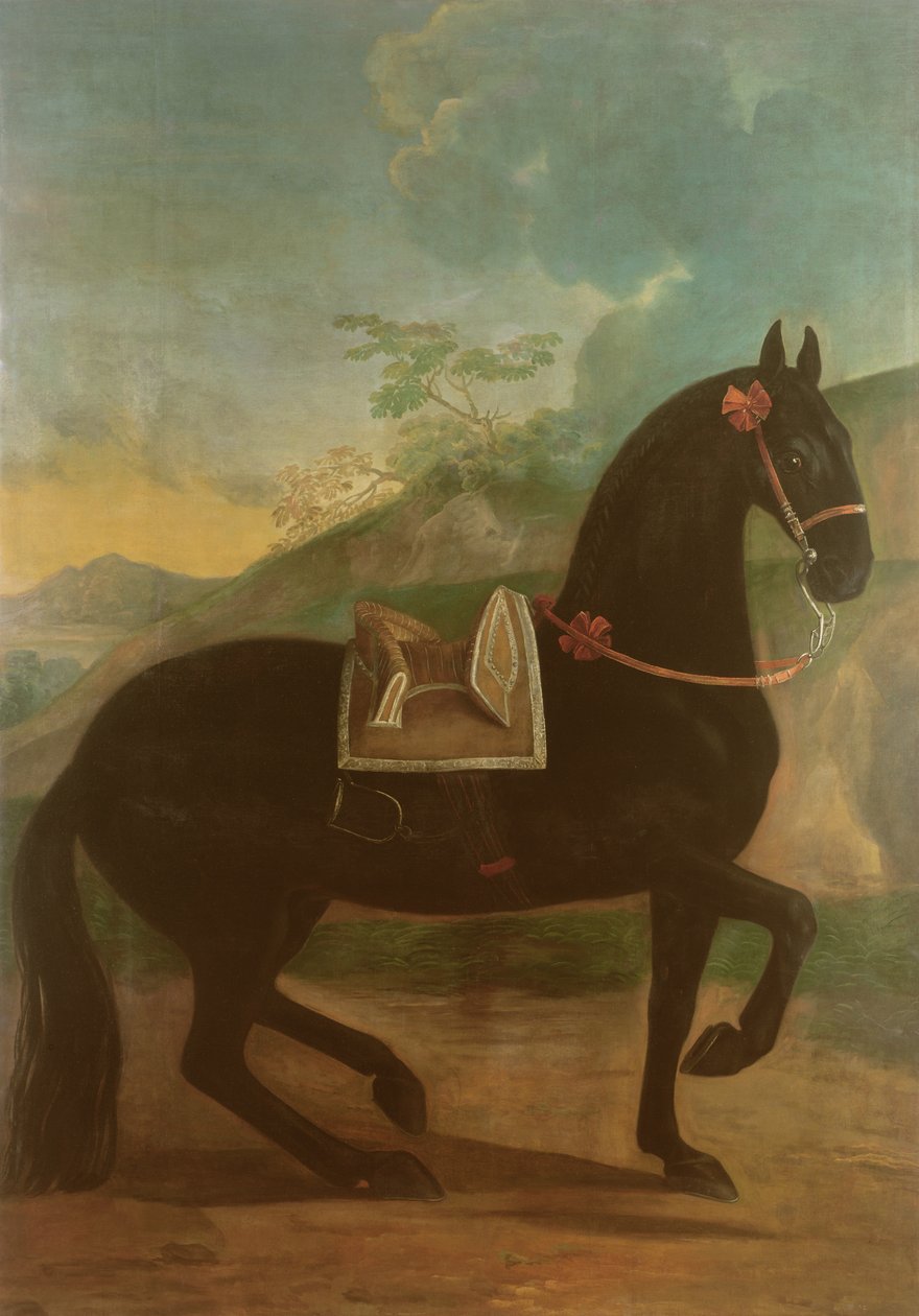 Een Zwart Paard met een Spaanse Zadel door Johann Georg Hamilton
