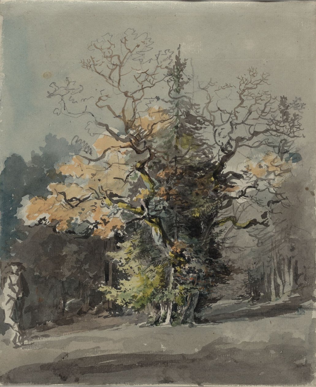 Boomgroep voor een bos door Johann Georg von Dillis