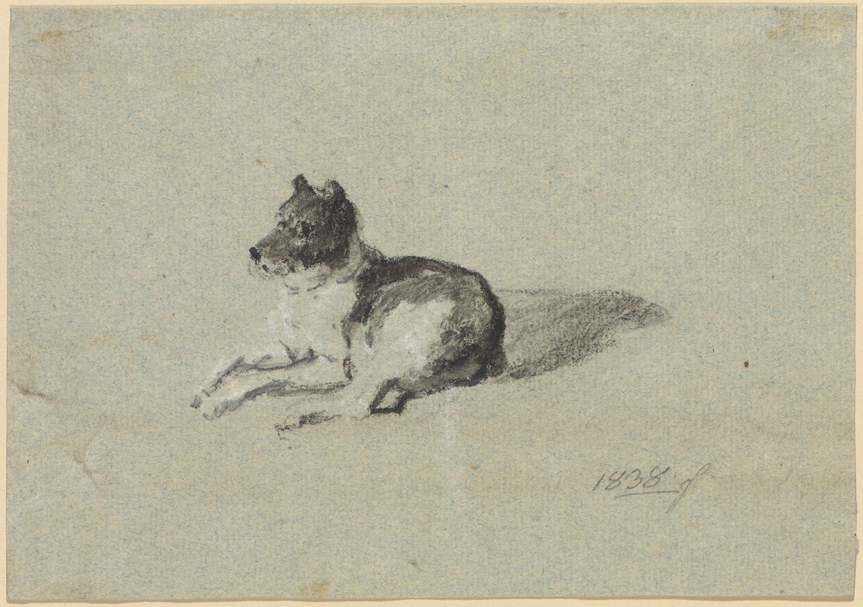 Twee onderzoeken bij honden door Johann Georg von Dillis