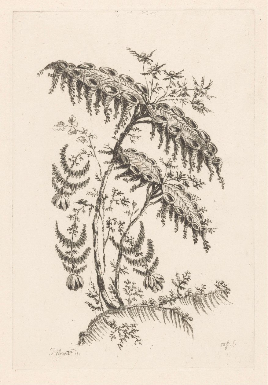 Bladeren met hoornvormen door Johann Heinrich  Hess