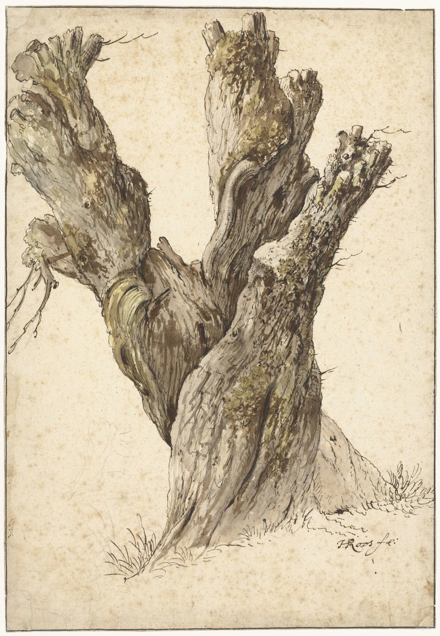 Een knotwilg door Johann Heinrich Roos