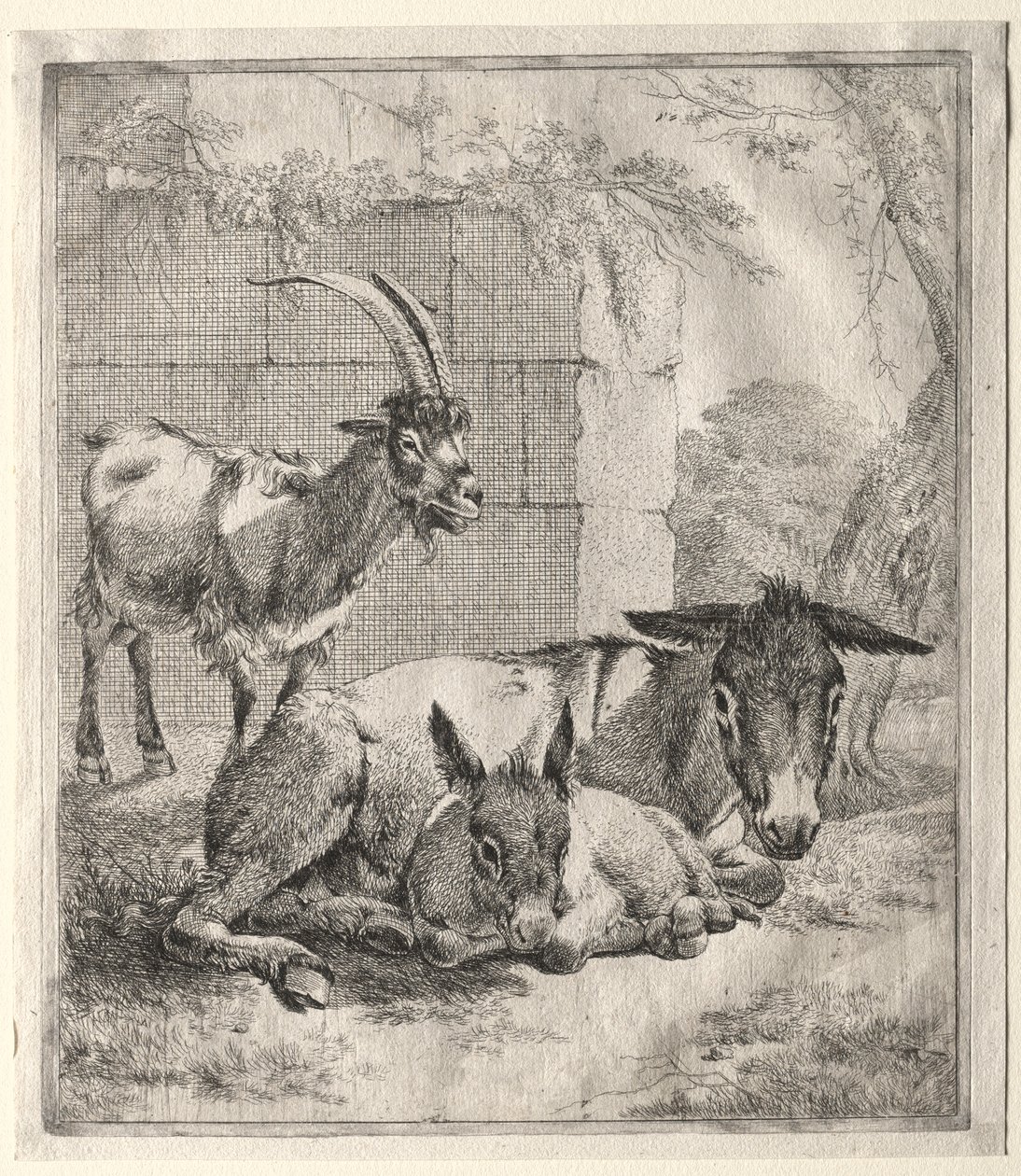 Geit en ezels door Johann Heinrich Roos