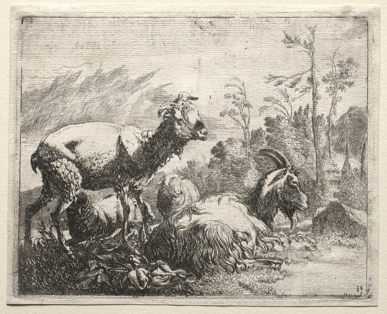 Geiten door Johann Heinrich Roos