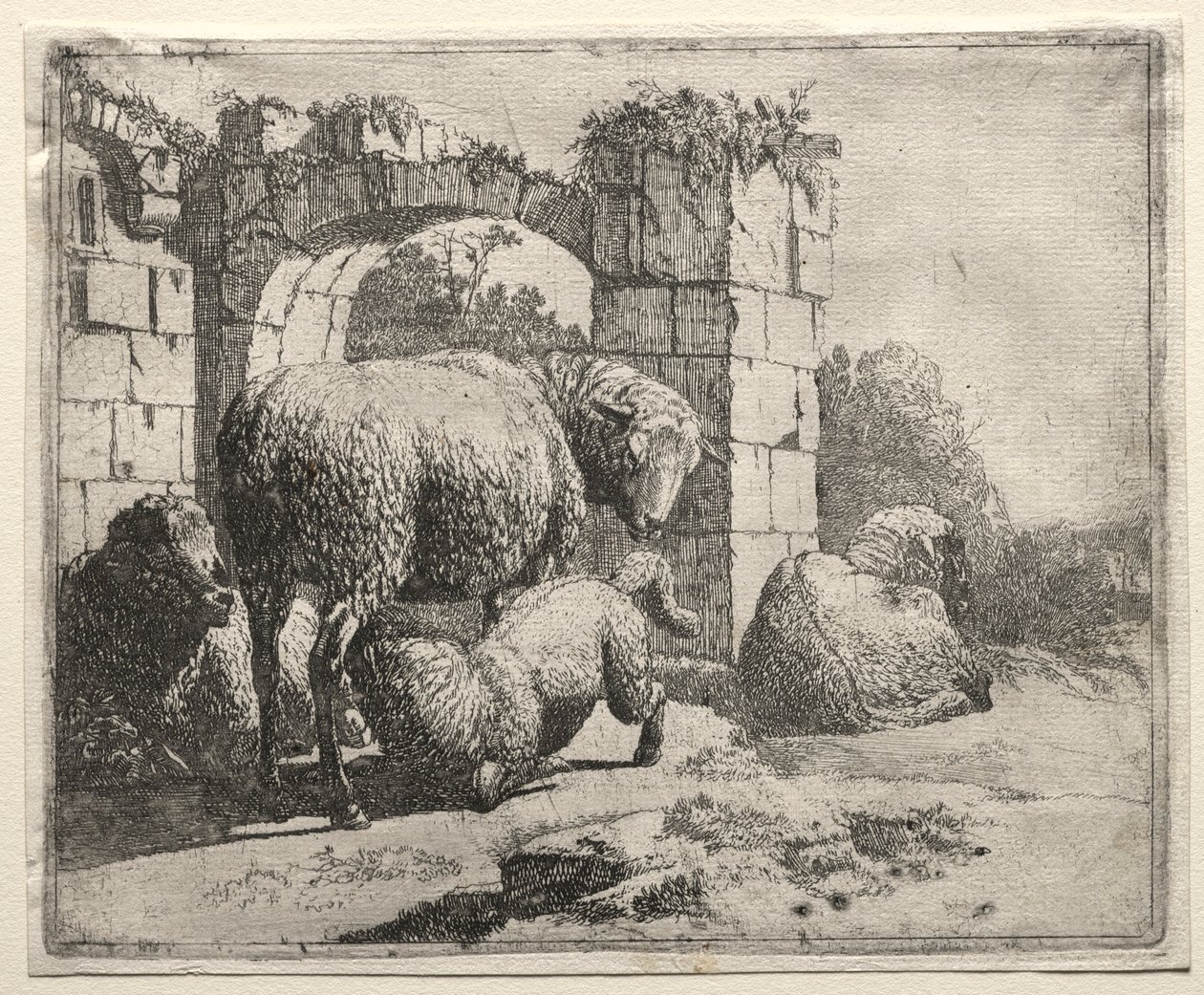 Schapen bij de ruïnes van een boog, 1665 door Johann Heinrich Roos