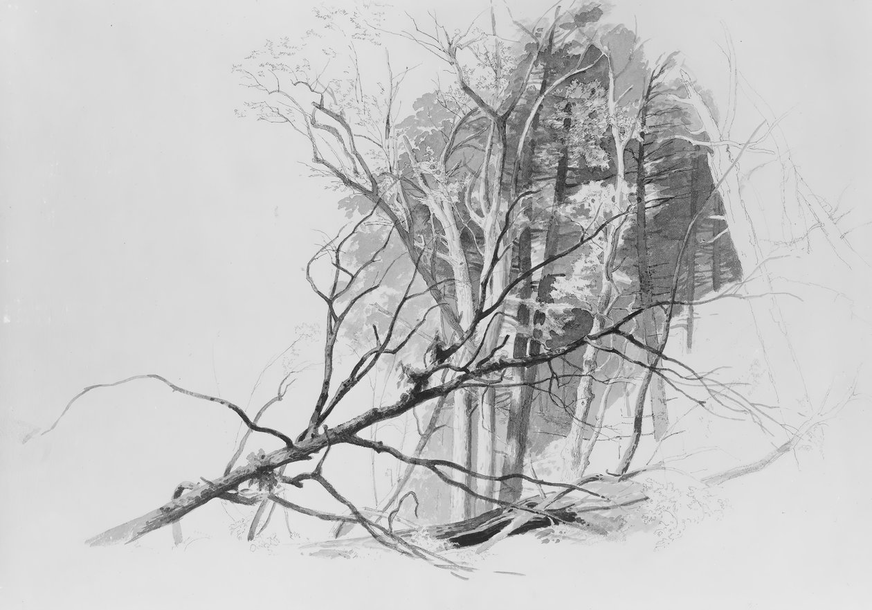 Bosscène door Johann Hermann Carmiencke