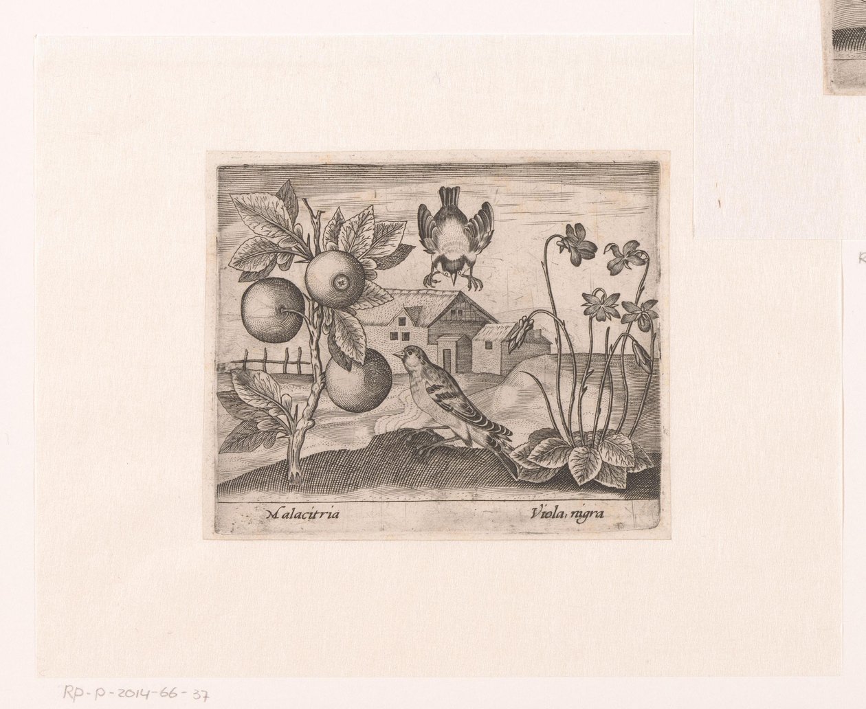 Serie van prenten met bloemen en dieren in een landschap (Landschappen met dieren, planten en bloemen) door Johann Hogenberg