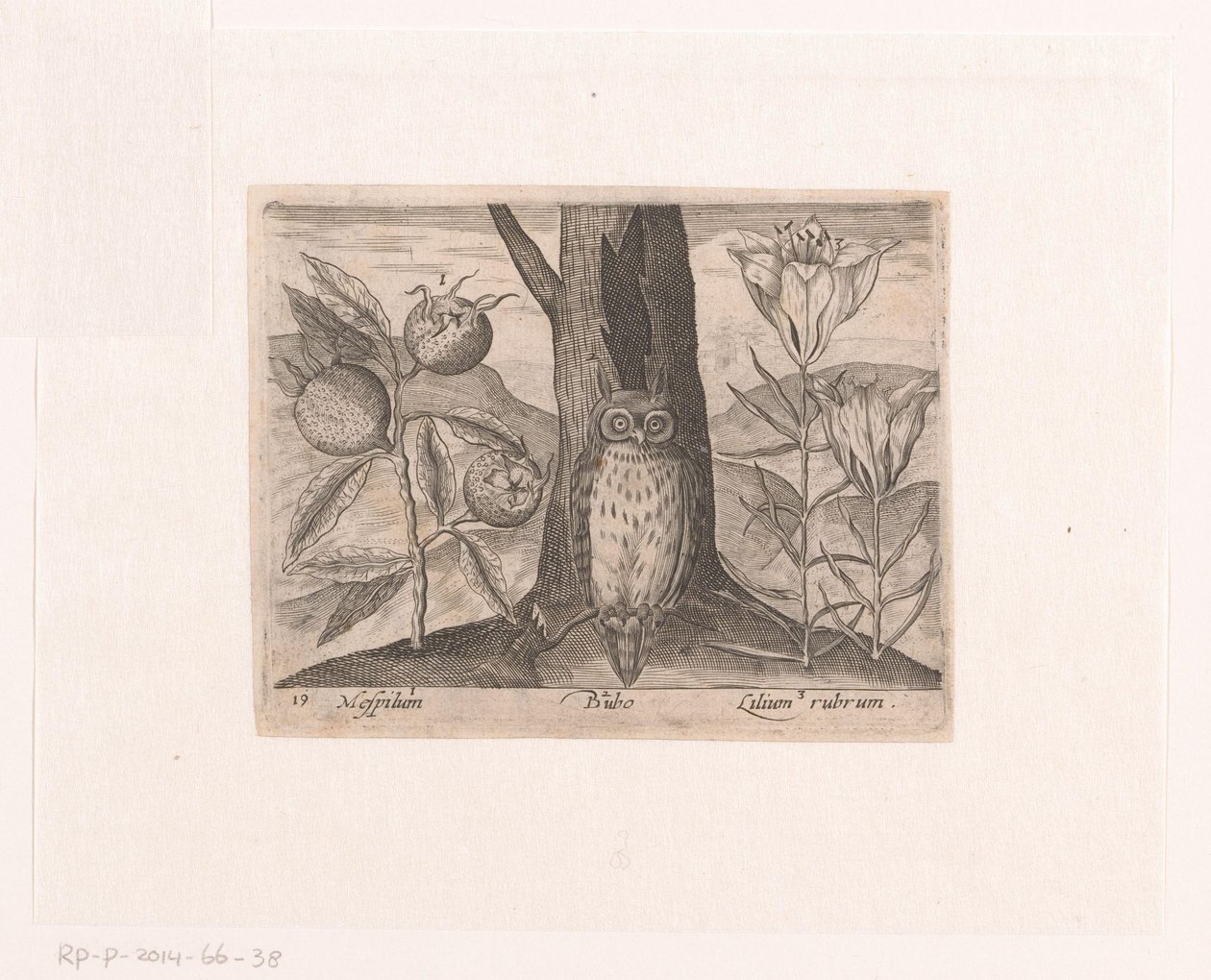Serie prenten met bloemen en dieren in een landschap door Johann Hogenberg