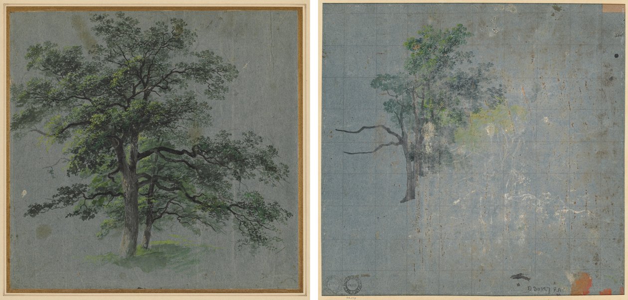 Twee bomen (recto) Boomstudies (verso) door Johann Jacob Dorner