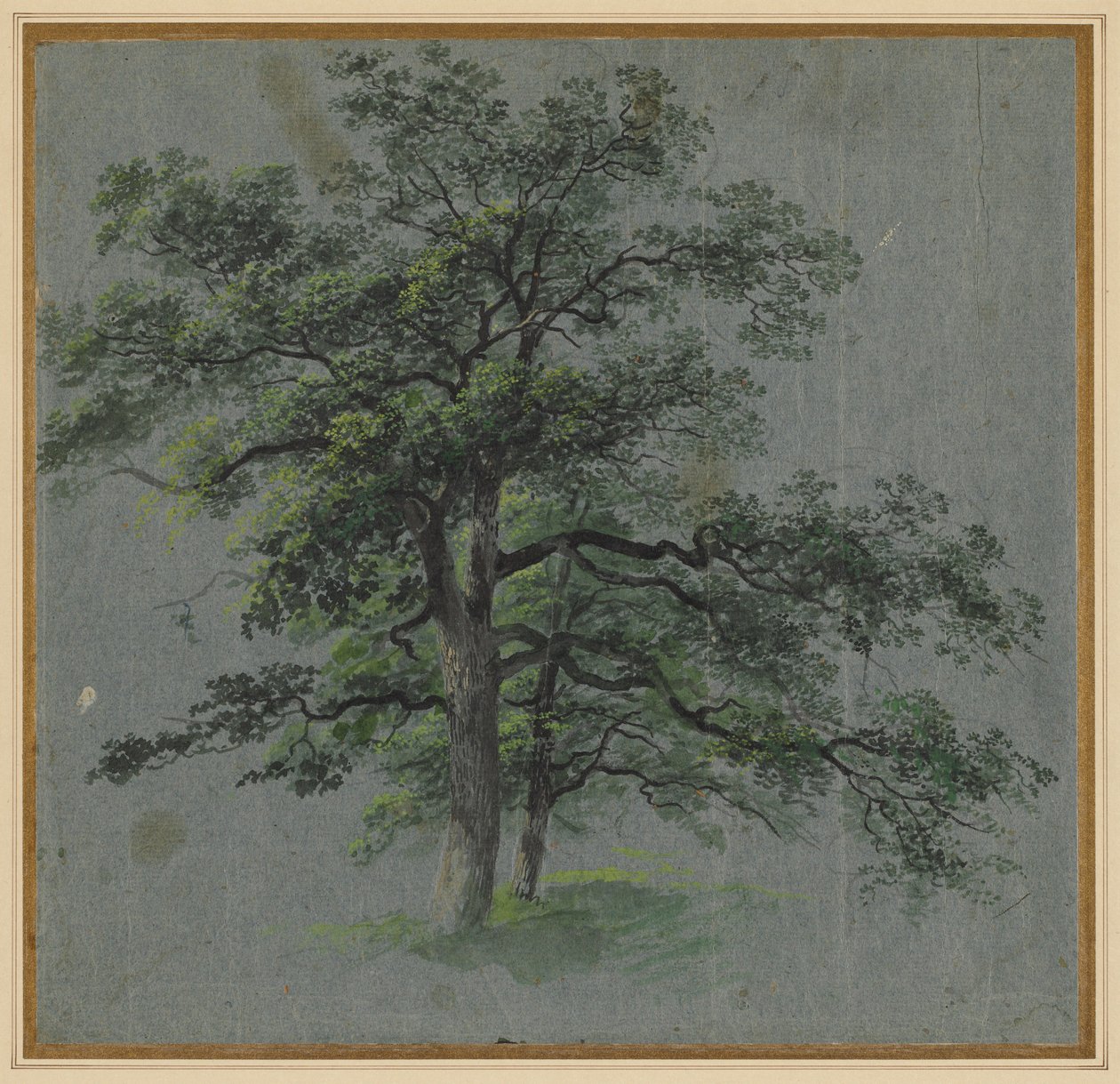Twee bomen, eerste helft 1800 door Johann Jacob Dorner