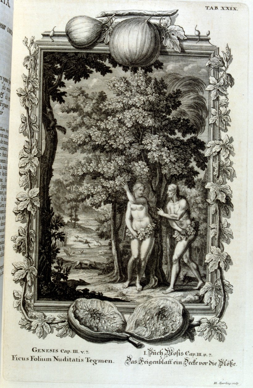 Kopergravure uit 