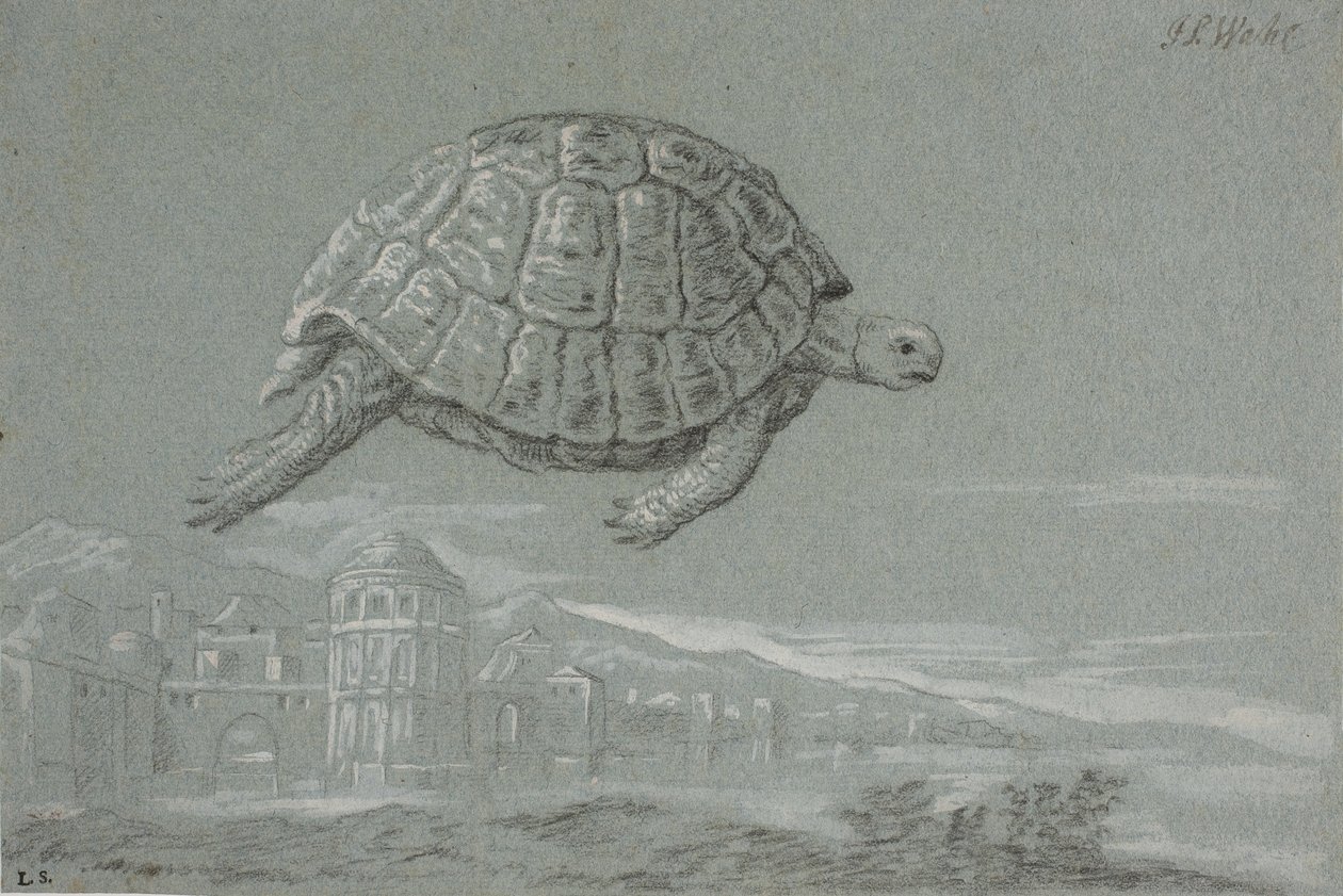 Studie van een schildpad, en uitzicht op een versterkte stad aan zee (Venetië) door Johann Salomon Wahl