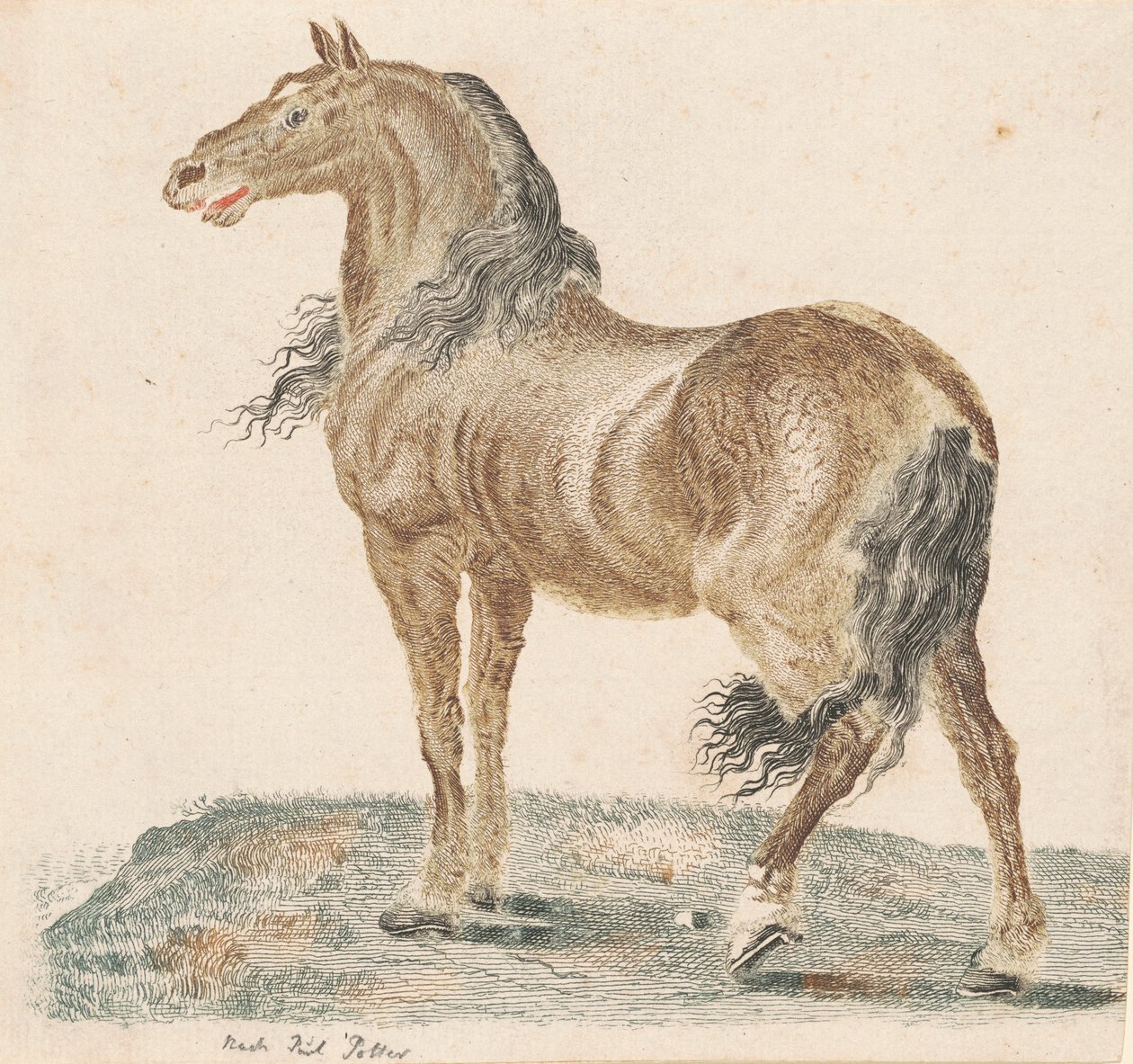 Het Hinniken van het Paard, 1690s door Johann Teyler