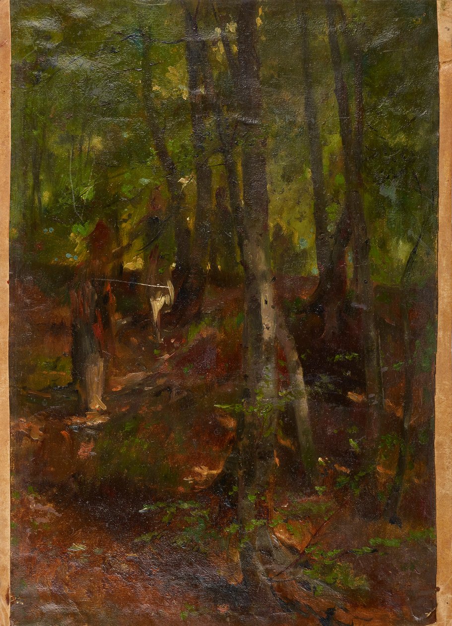 Boslandschap door Johann  Till der Jüngere