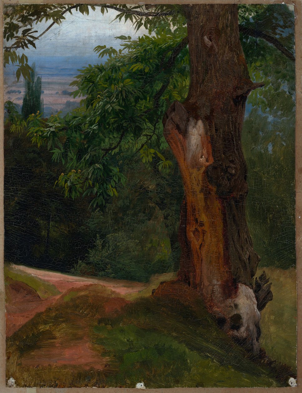 Boomstudie met uitzicht op een dal door Johann Wilhelm Schirmer