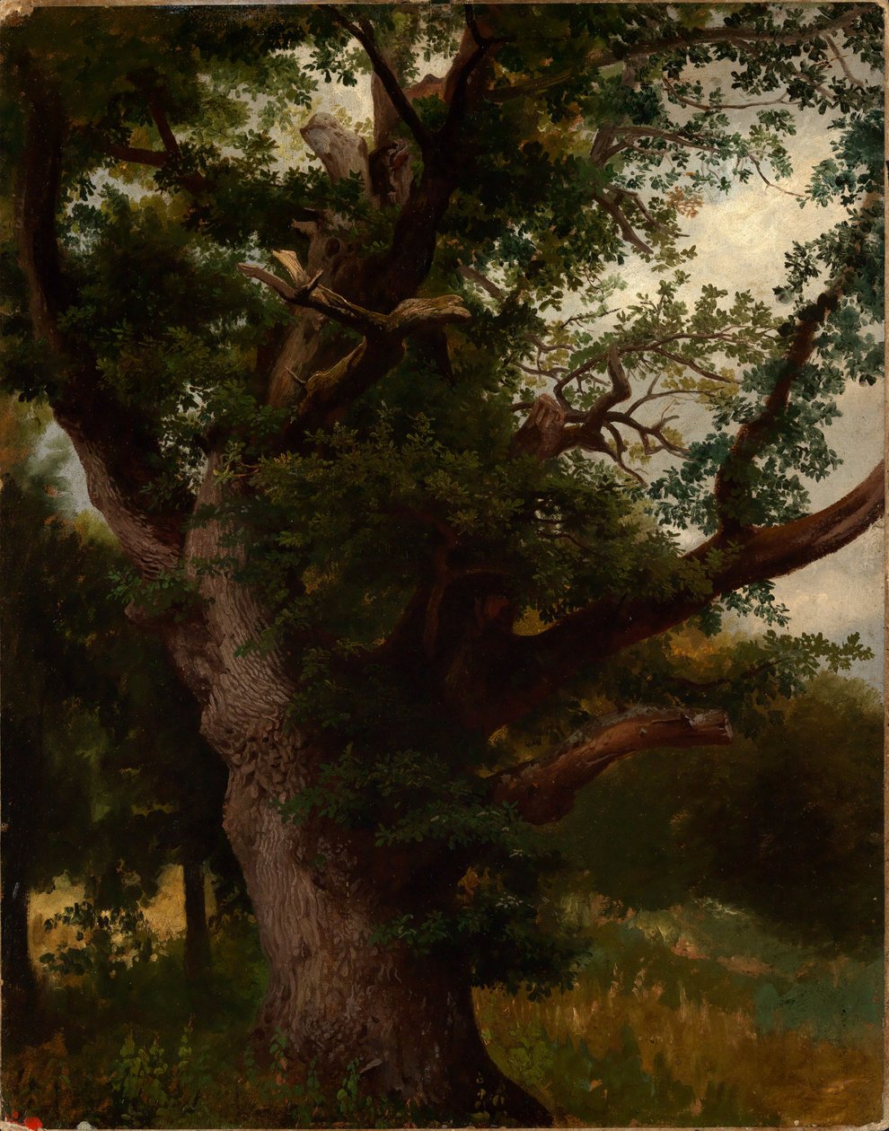 Eichbaum door Johann Wilhelm Schirmer