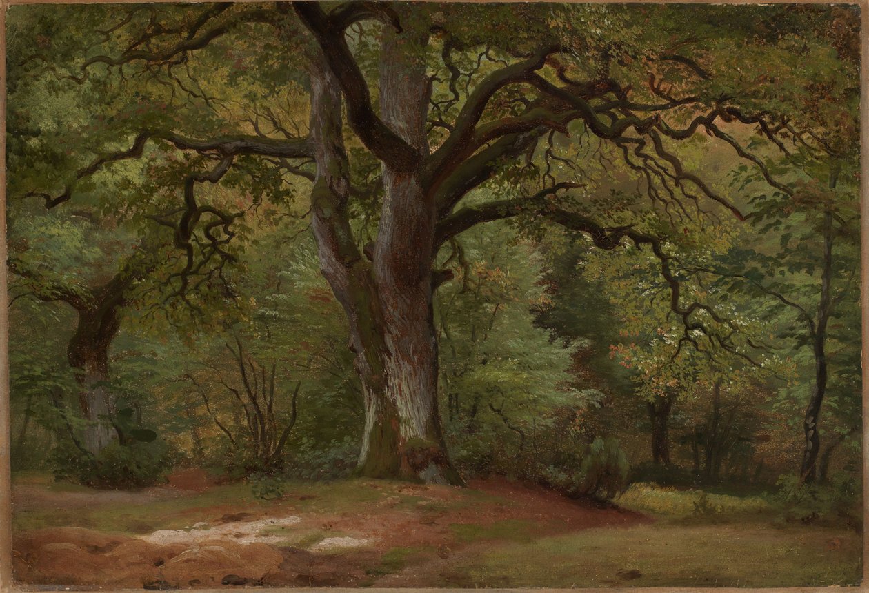 Eikenbos in de Solling door Johann Wilhelm Schirmer