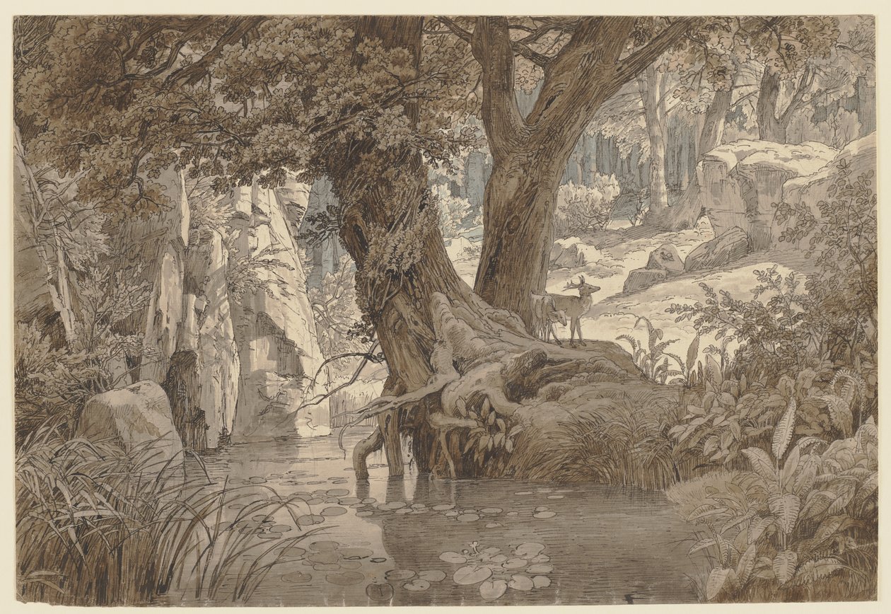 Boslandschap door Johann Wilhelm Schirmer