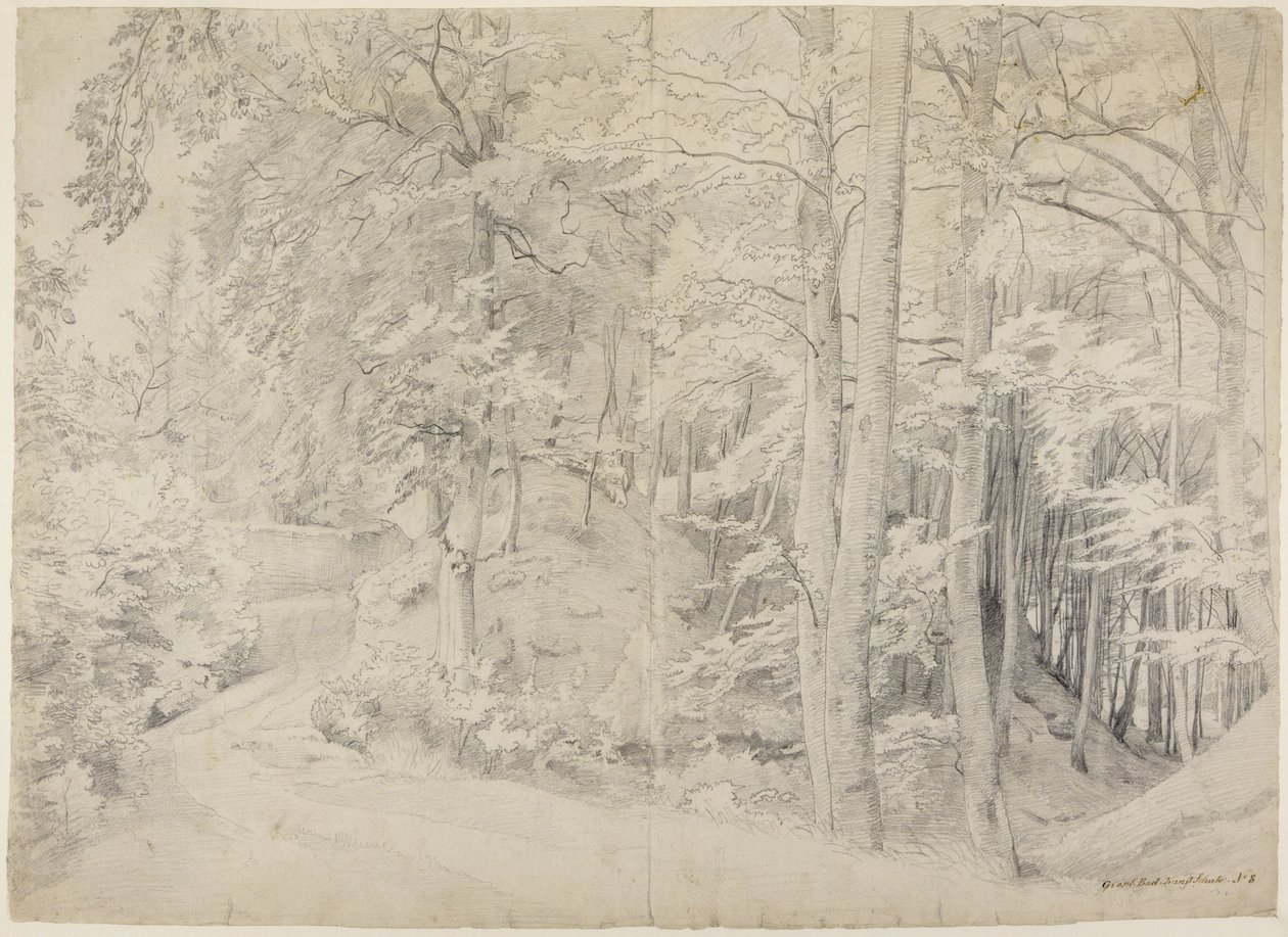 In het beukenbos door Johann Wilhelm Schirmer