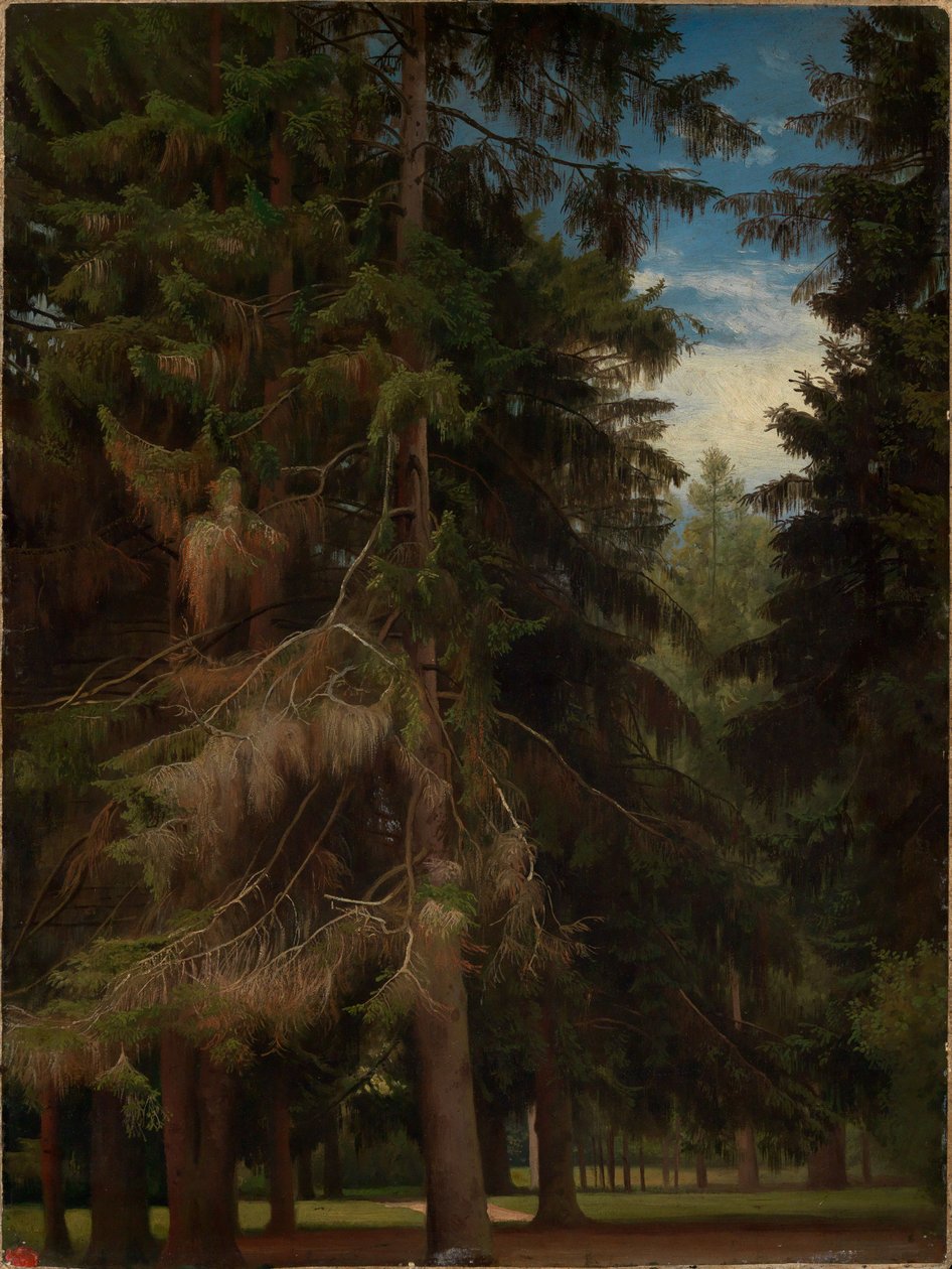 Open plek in het dennenbos door Johann Wilhelm Schirmer