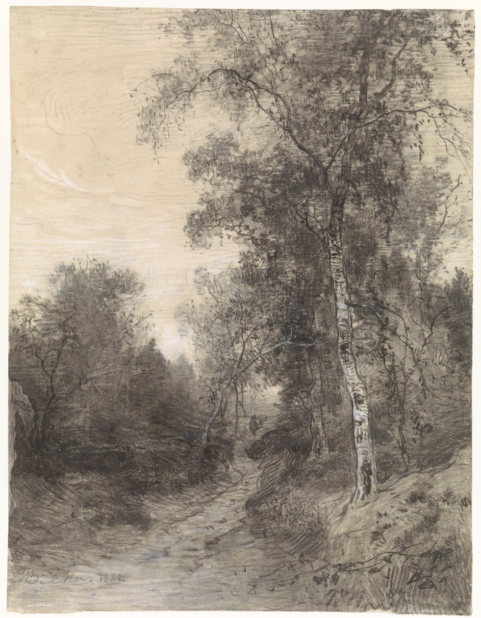Uitzicht in het bos door Johannes Warnardus Bilders