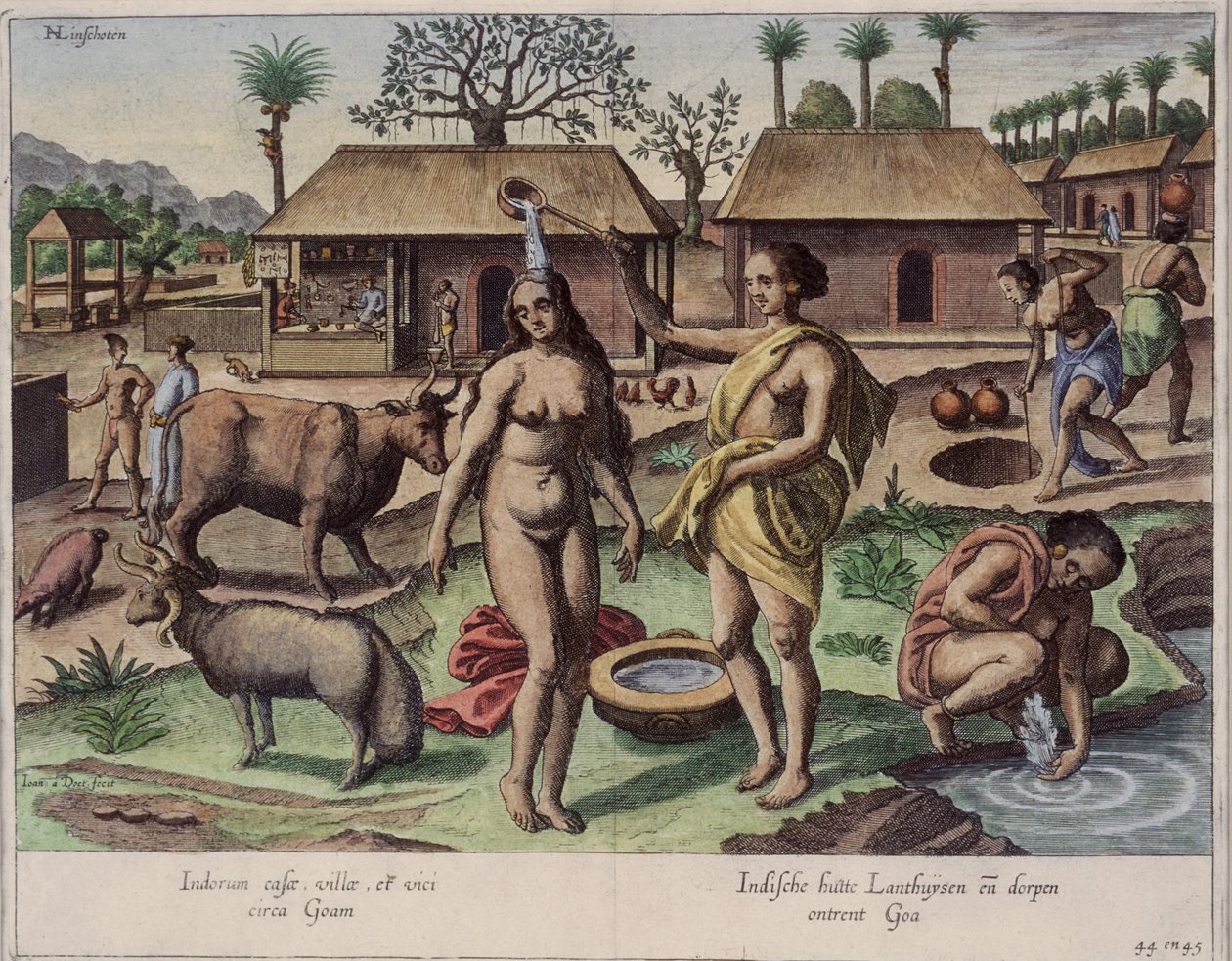 Leven in Goa, illustratie uit 